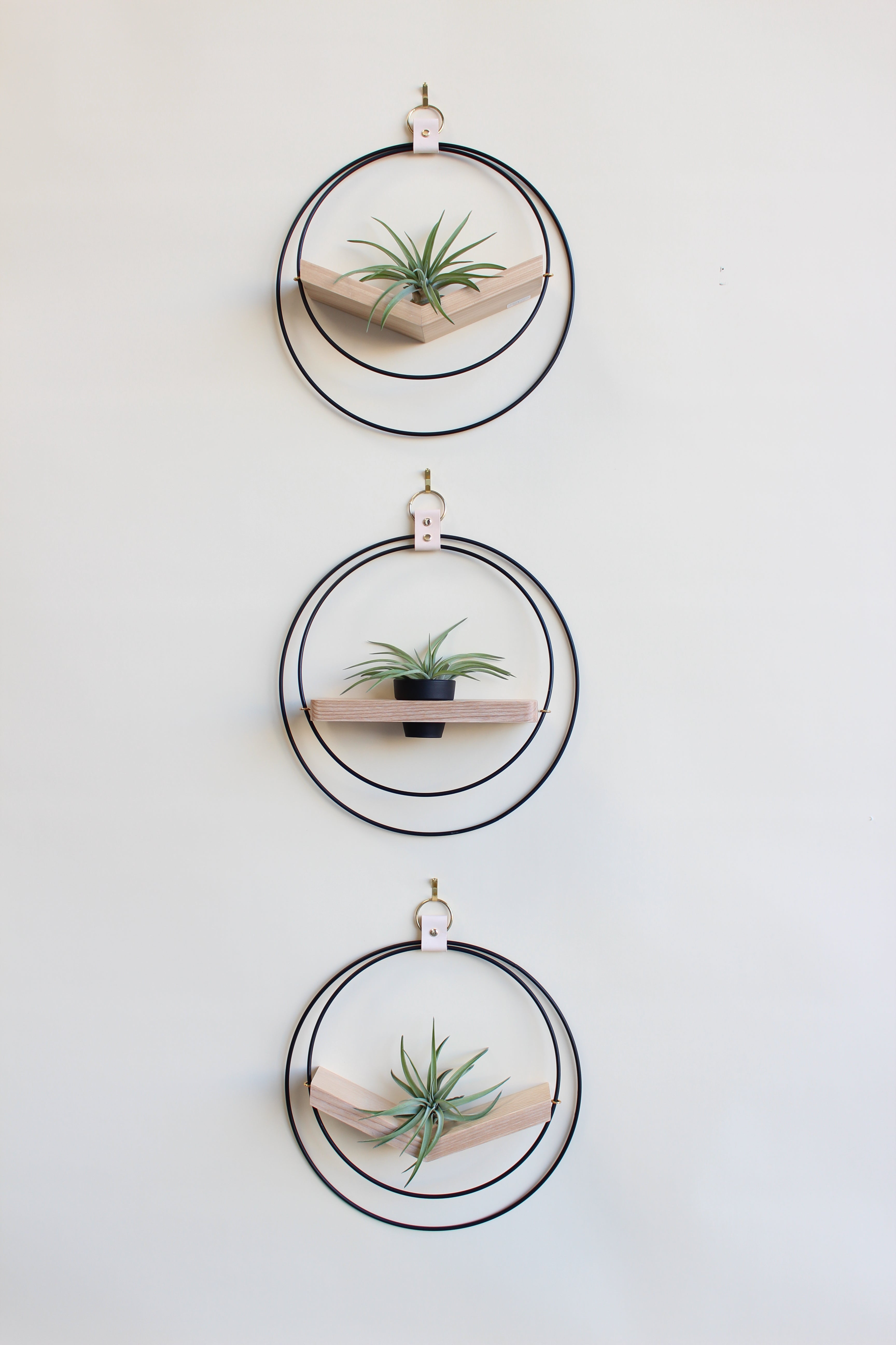 The mixed V-Hanger and Plant Shelf duo arranged vertically on a light background