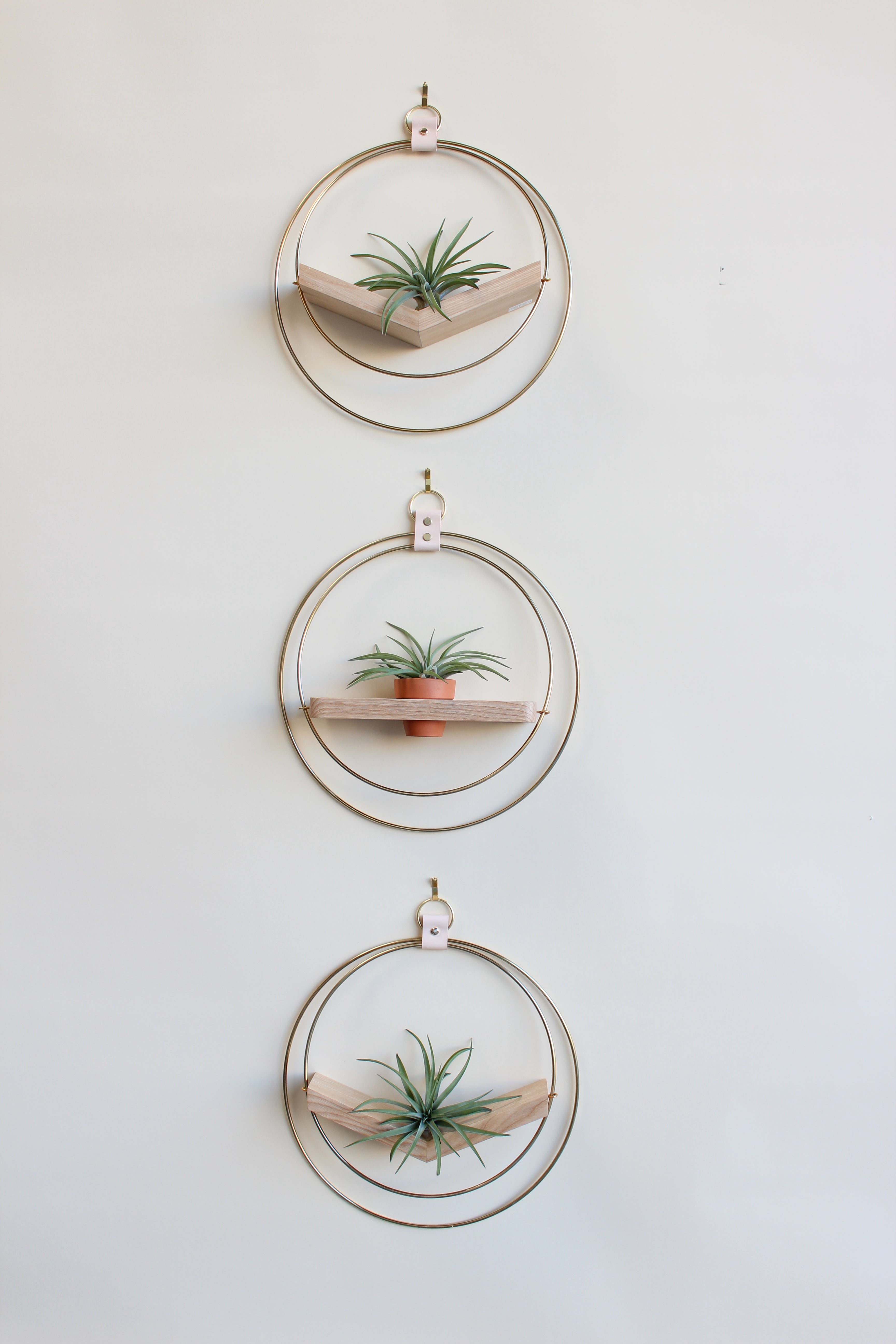 The mixed V-Hanger and Plant Shelf duo arranged vertically on a light background