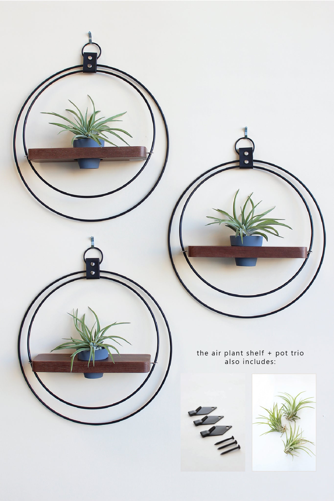 Air Plant Shelf + Pot Trio