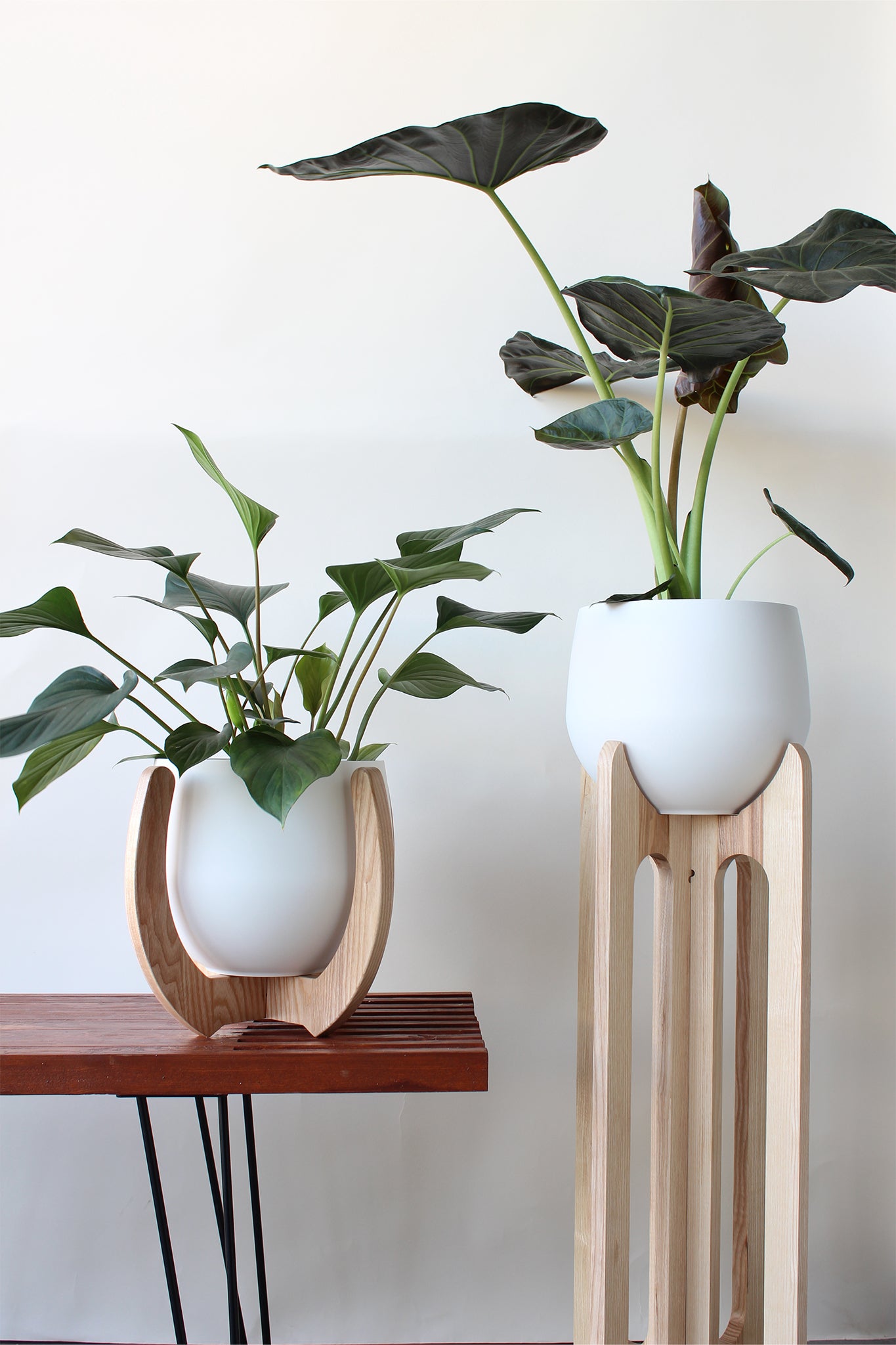 modern tall wood plant stand with white spun aluminum pots and houseplants