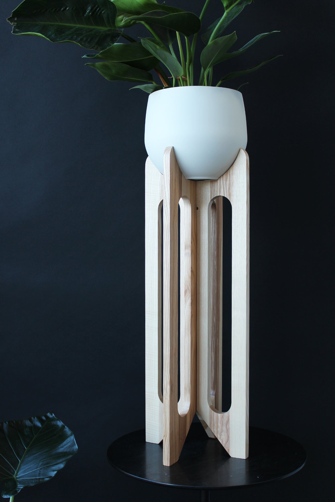 arches plant stand by braid & wood against black accent wall