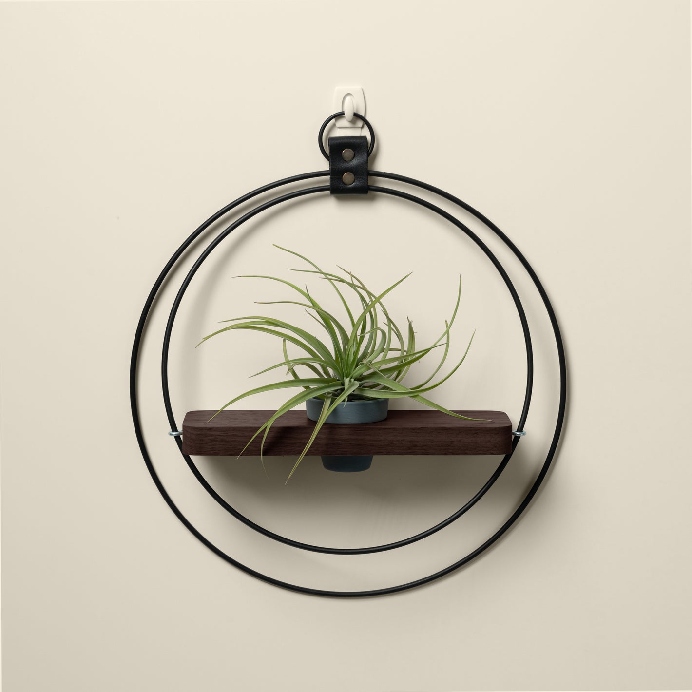 braid & wood dark & stormy plant shelf with air plant