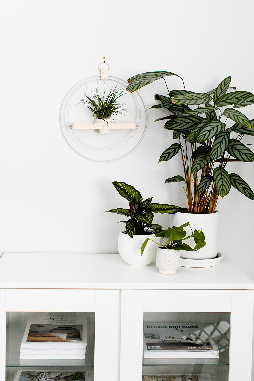 modern plant shelf hanging above white bookcase paired with potted houseplants