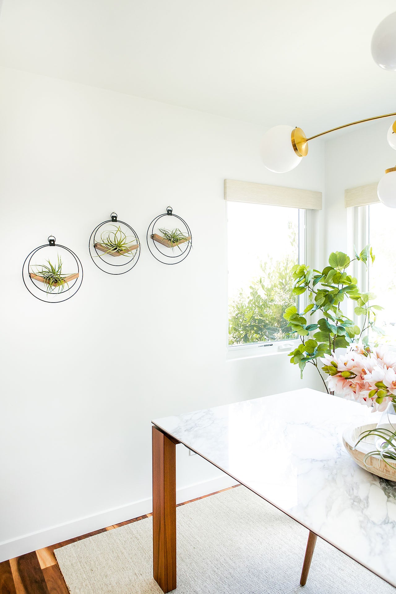 air plant holders from braid & wood styled on white wall in modern dining room