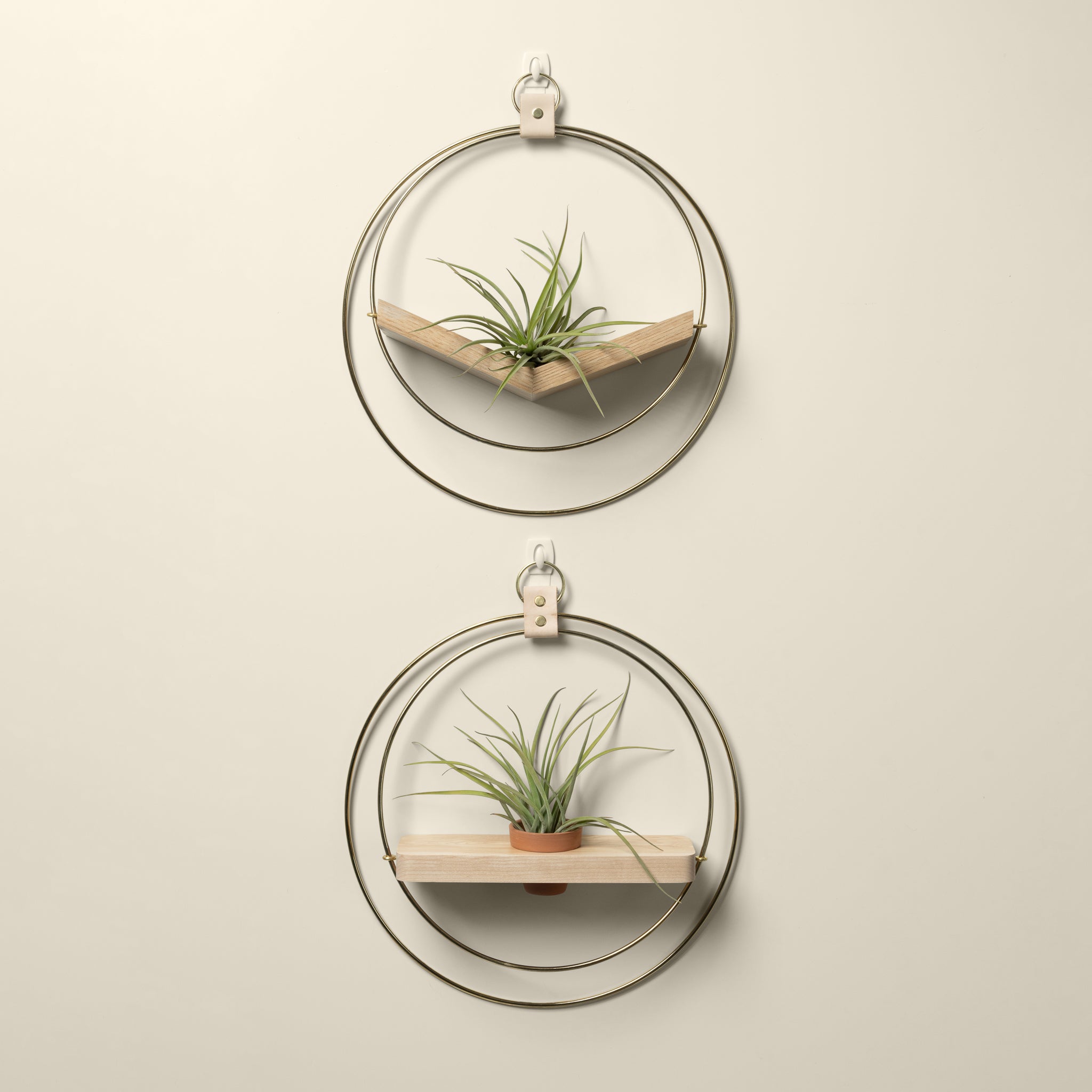 white oak v shaped air plant hanger and maple wall shelf with gold metal and terracotta pot