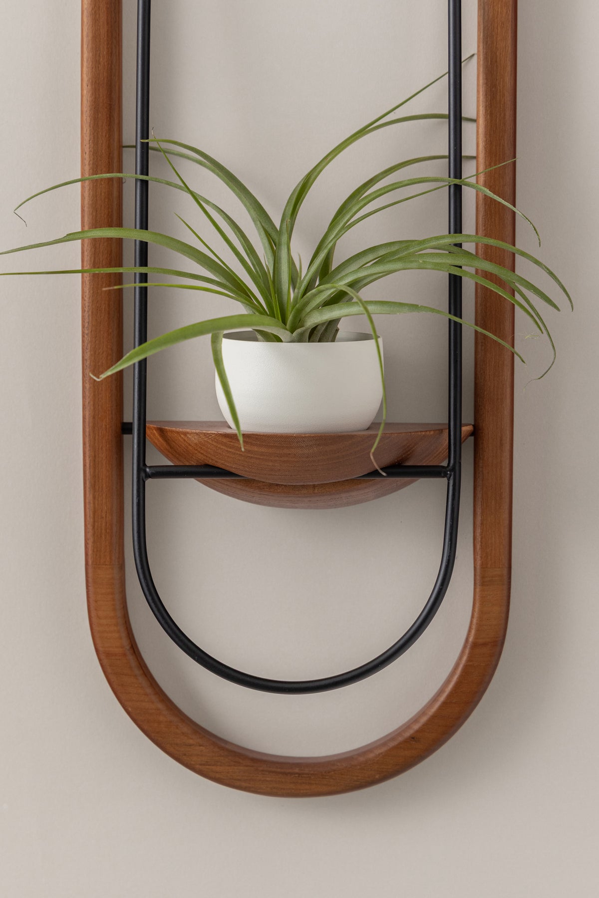 Crescent Air Plant Shelf + Pot Duo