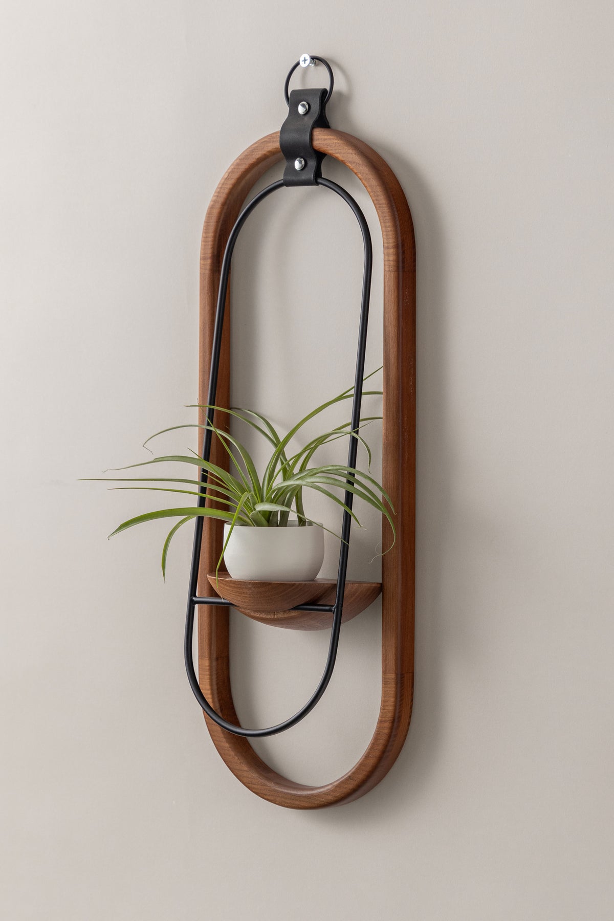 Crescent Air Plant Shelf + Pot