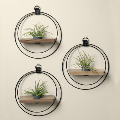 three wall mounted walnut plant shelves with black metal rings and charcoal colored pots