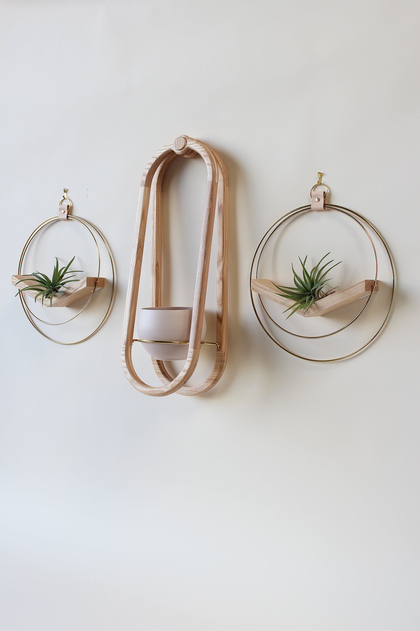 modern wall mounted obround hanging wood planter and gold circular air plant hanger with airplants