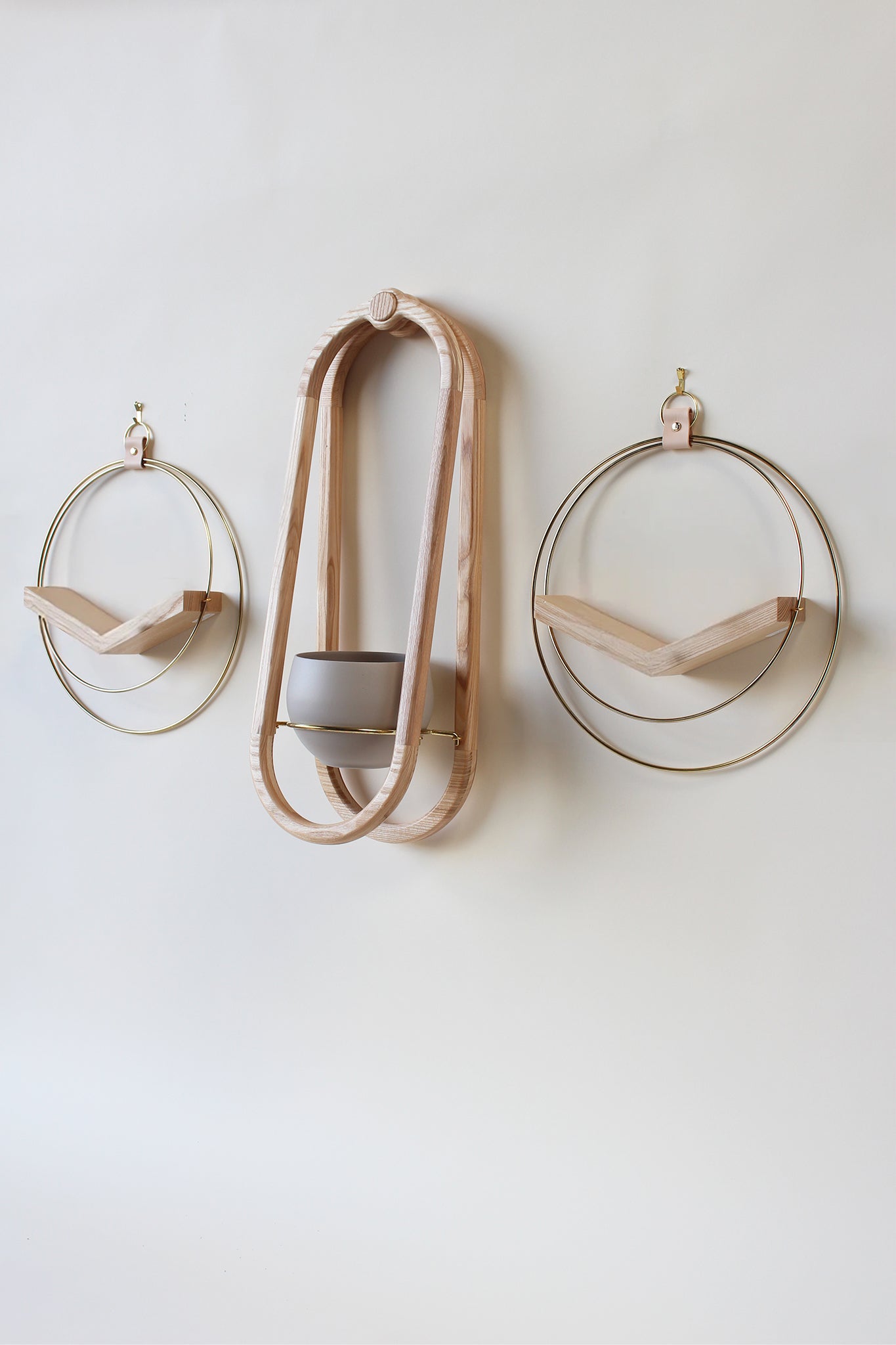 three wall mounted plant holders for air plants and houseplants on white background