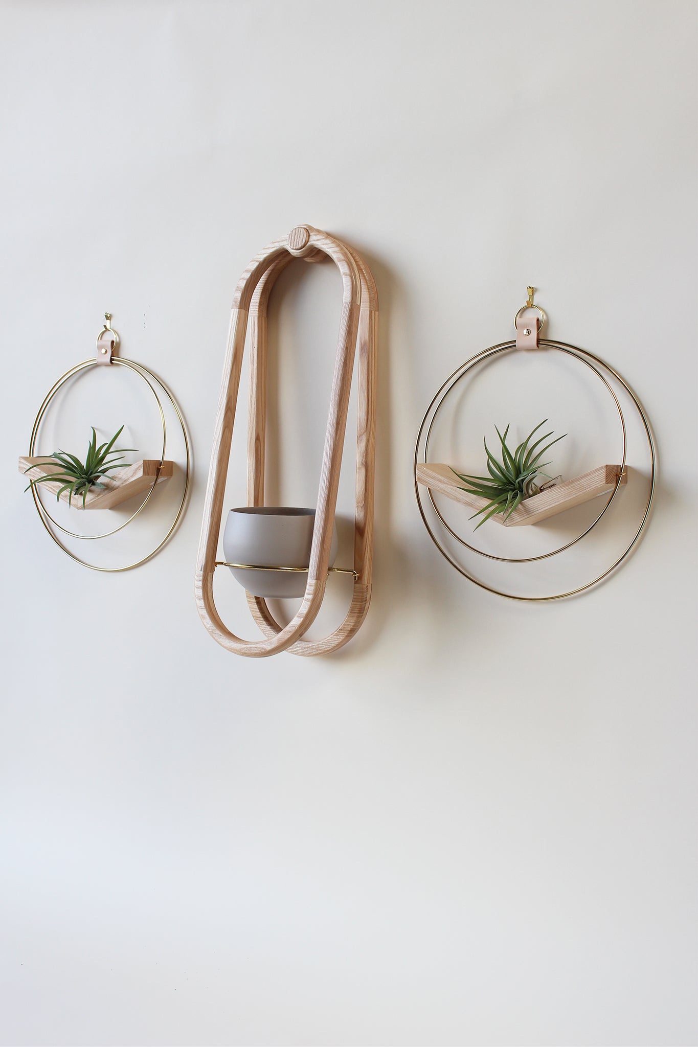 modern wall mounted obround hanging wood planter and gold circular air plant hanger with air plants