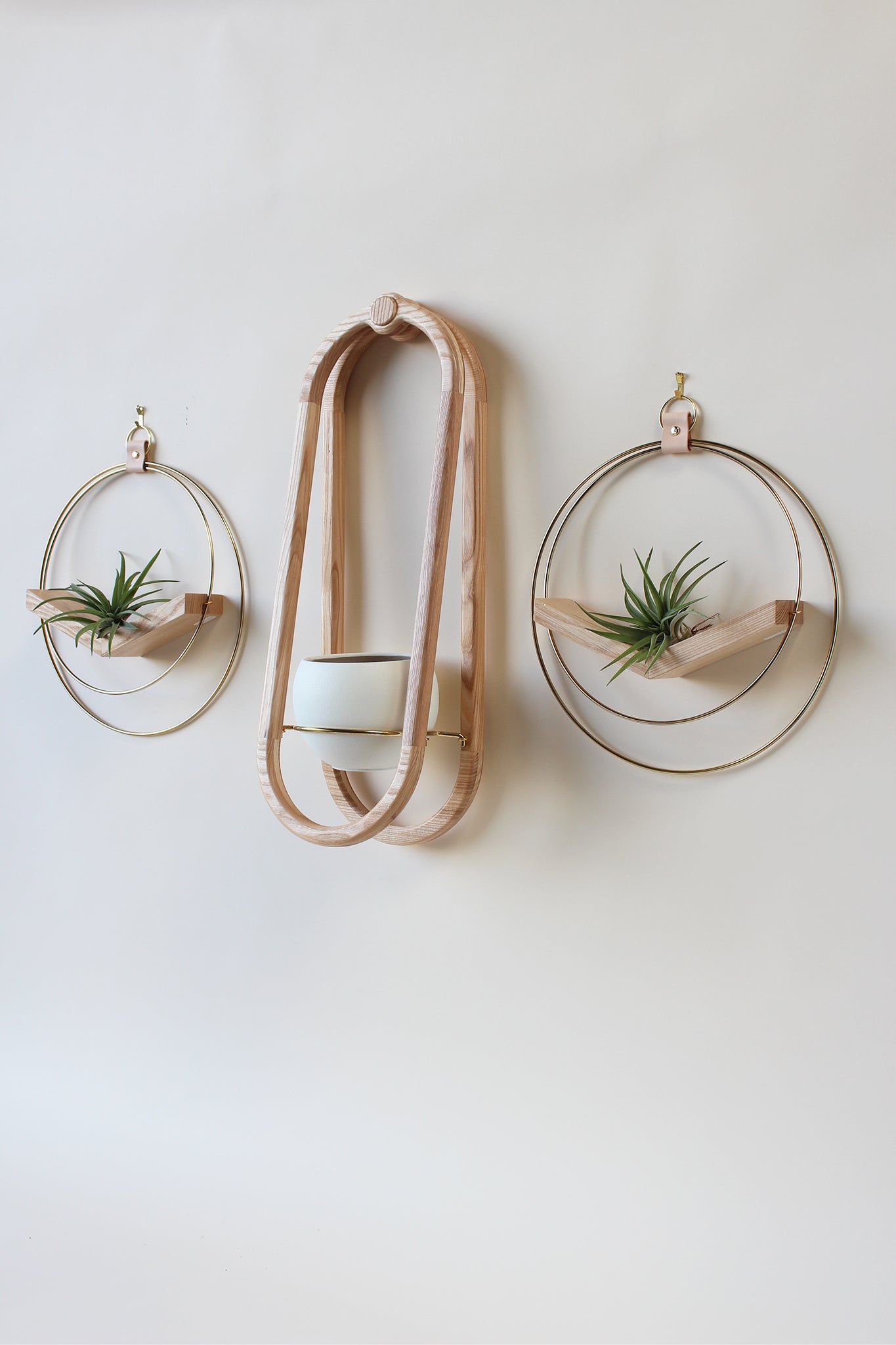 modern wall mounted obround hanging wood planter and gold circular air plant hanger with airplants