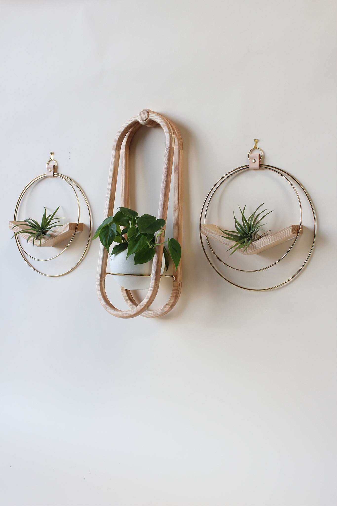 modern wall mounted obround hanging wood planter and gold circular air plant hanger with houseplants and air plants
