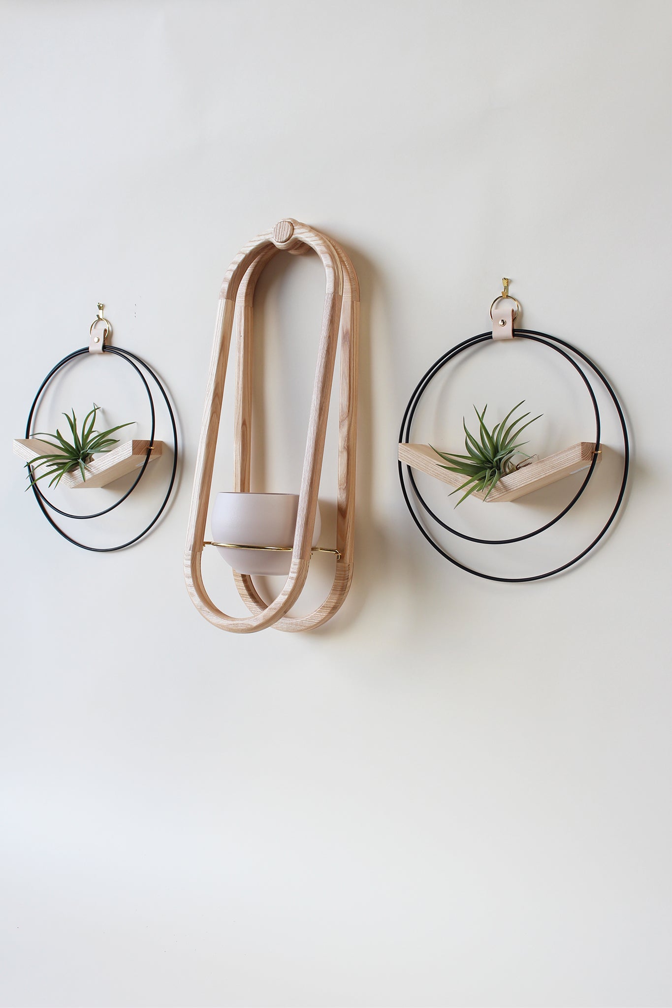 modern wall mounted obround hanging wood planter and matte black circular air plant hanger with air plants