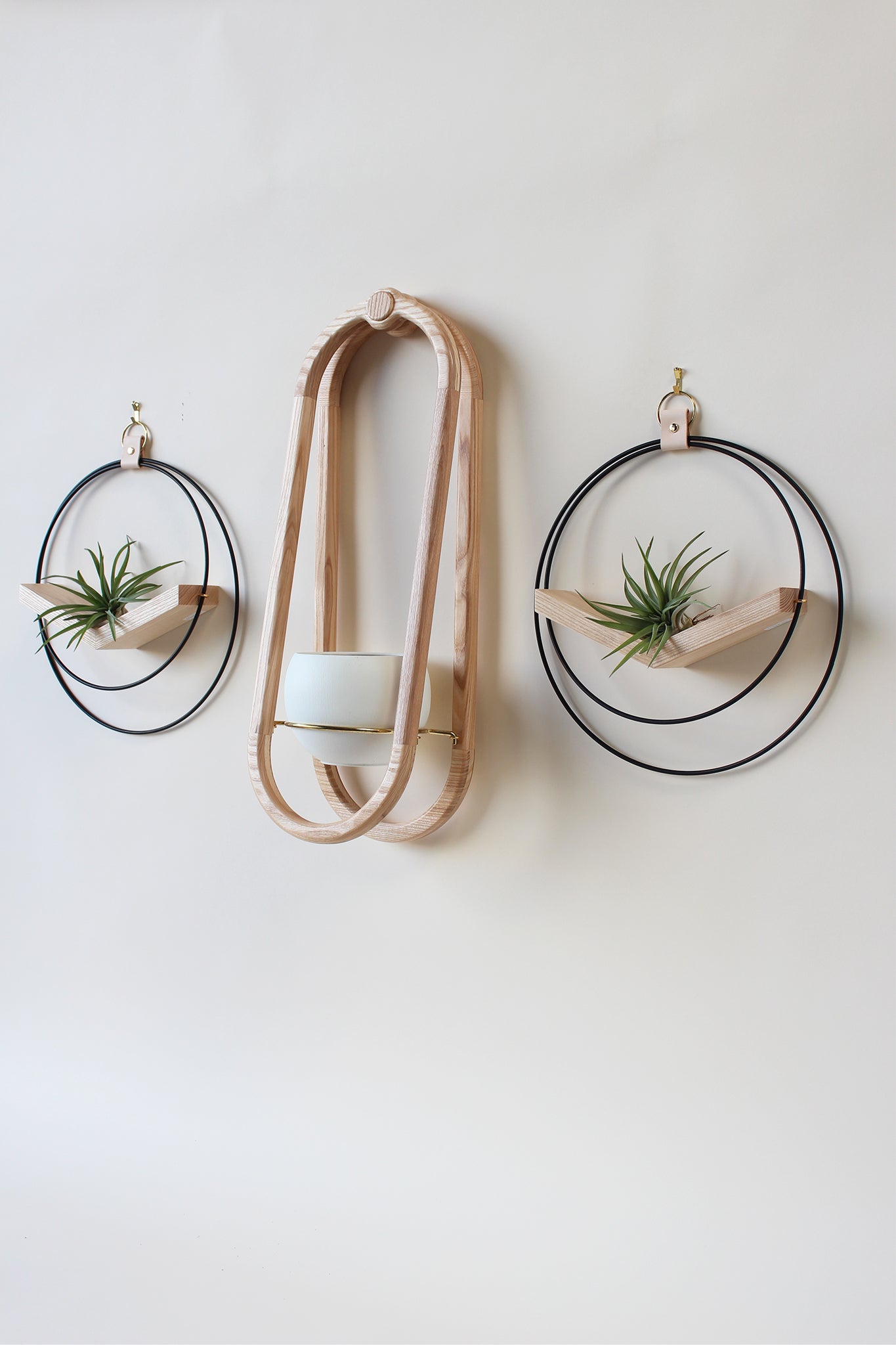 modern wall mounted obround hanging wood planter and matte black circular air plant hanger with air plants