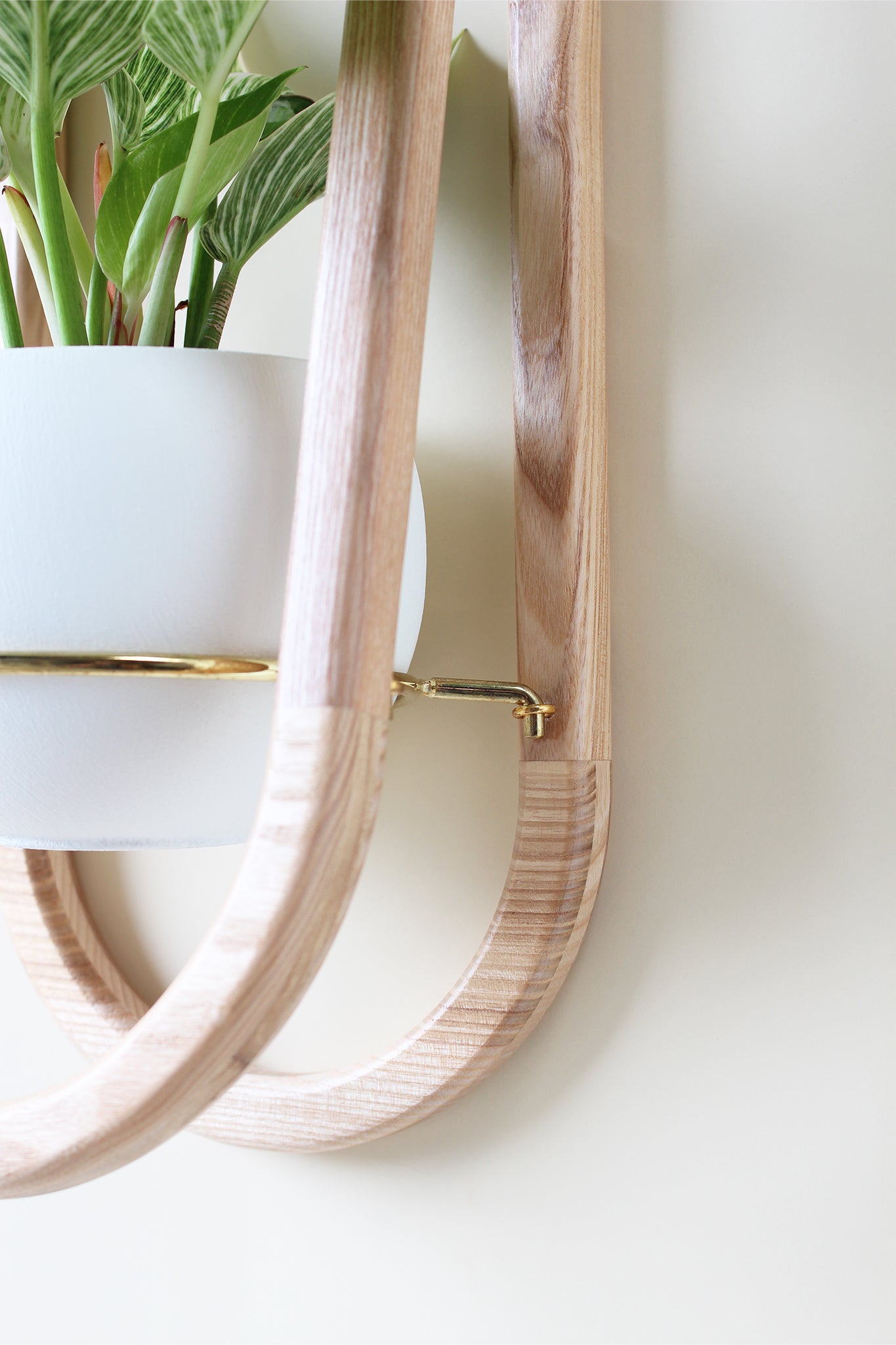detail shot of frame wall planter by braid & wood