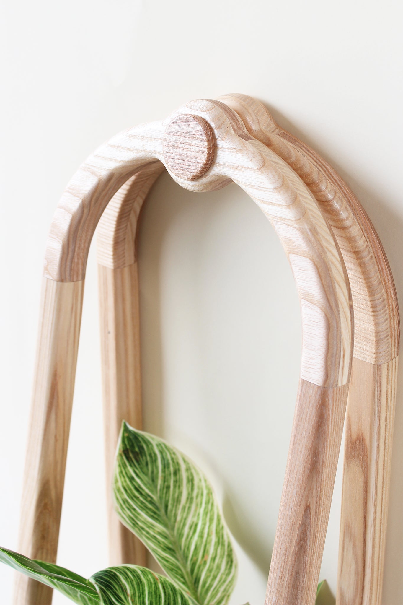 top of obround frame wall planter by braid & wood