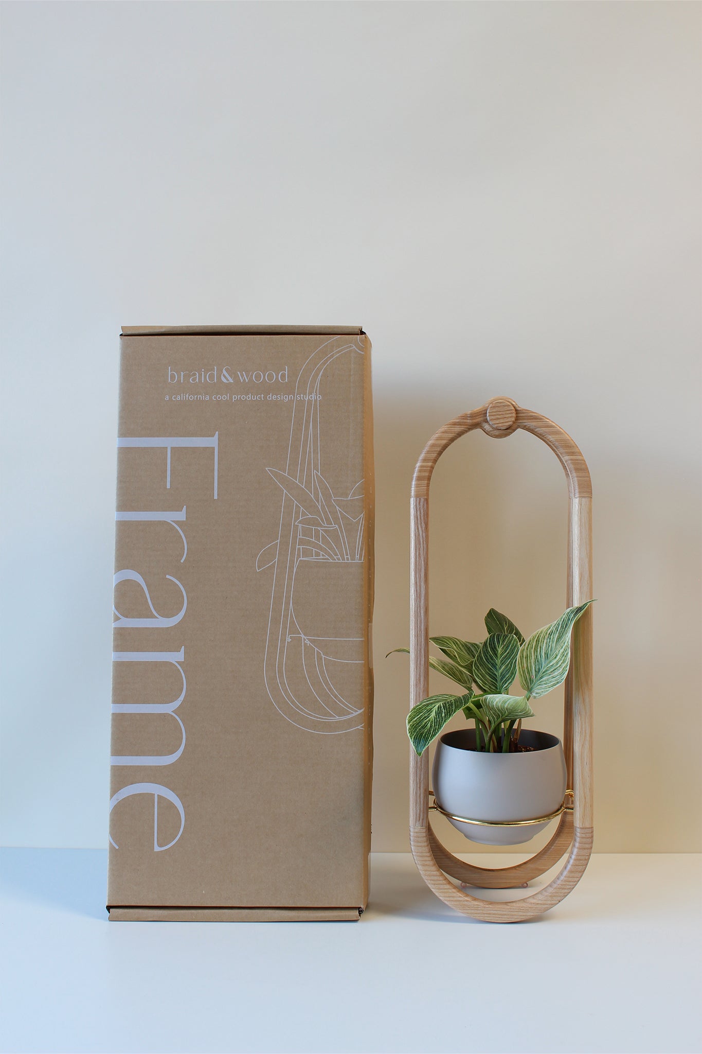 A white ash hardwork Frame Wall Planter next to the product packaging.