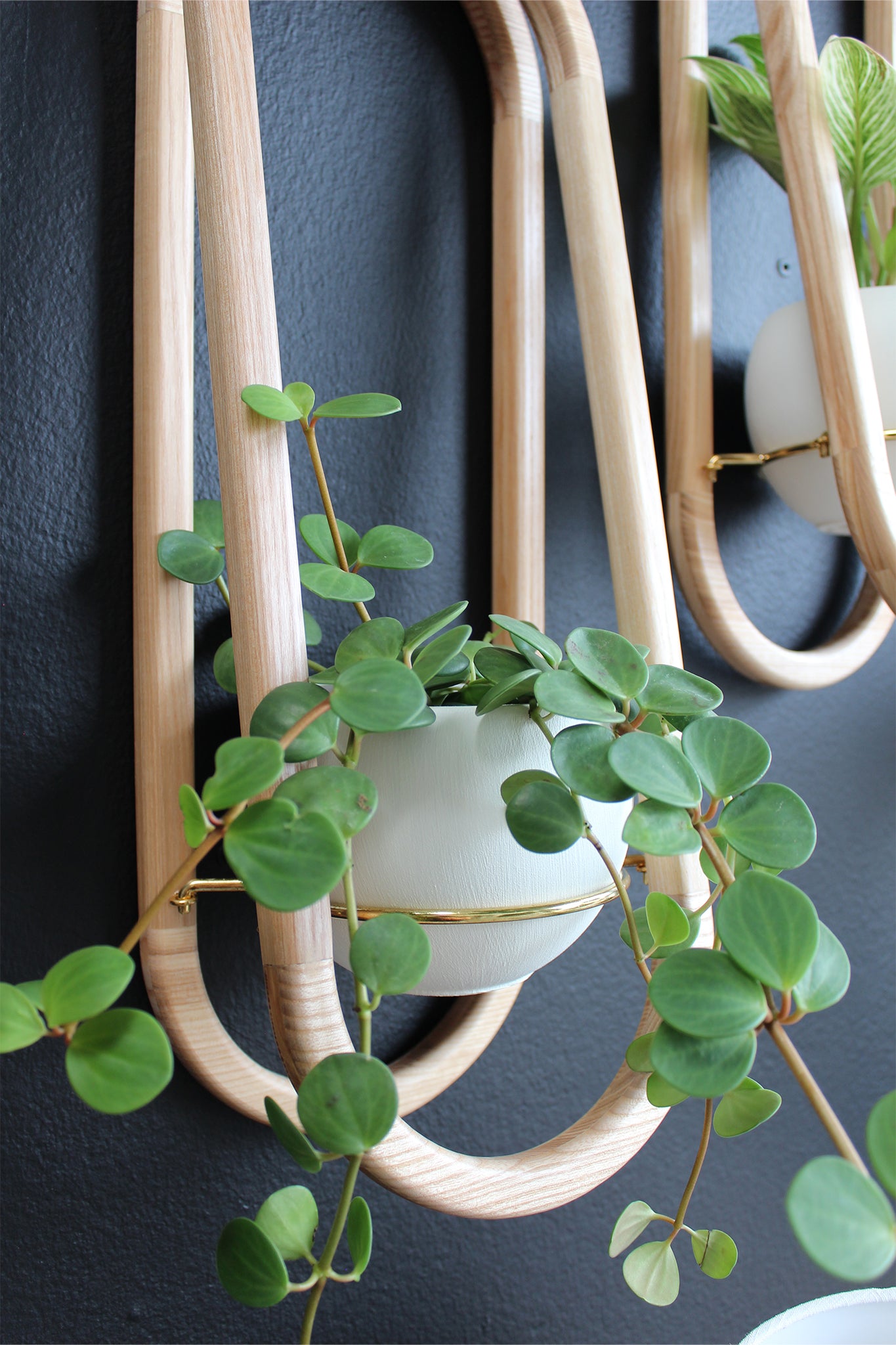 close up of frame wall planter + pot by braid & wood