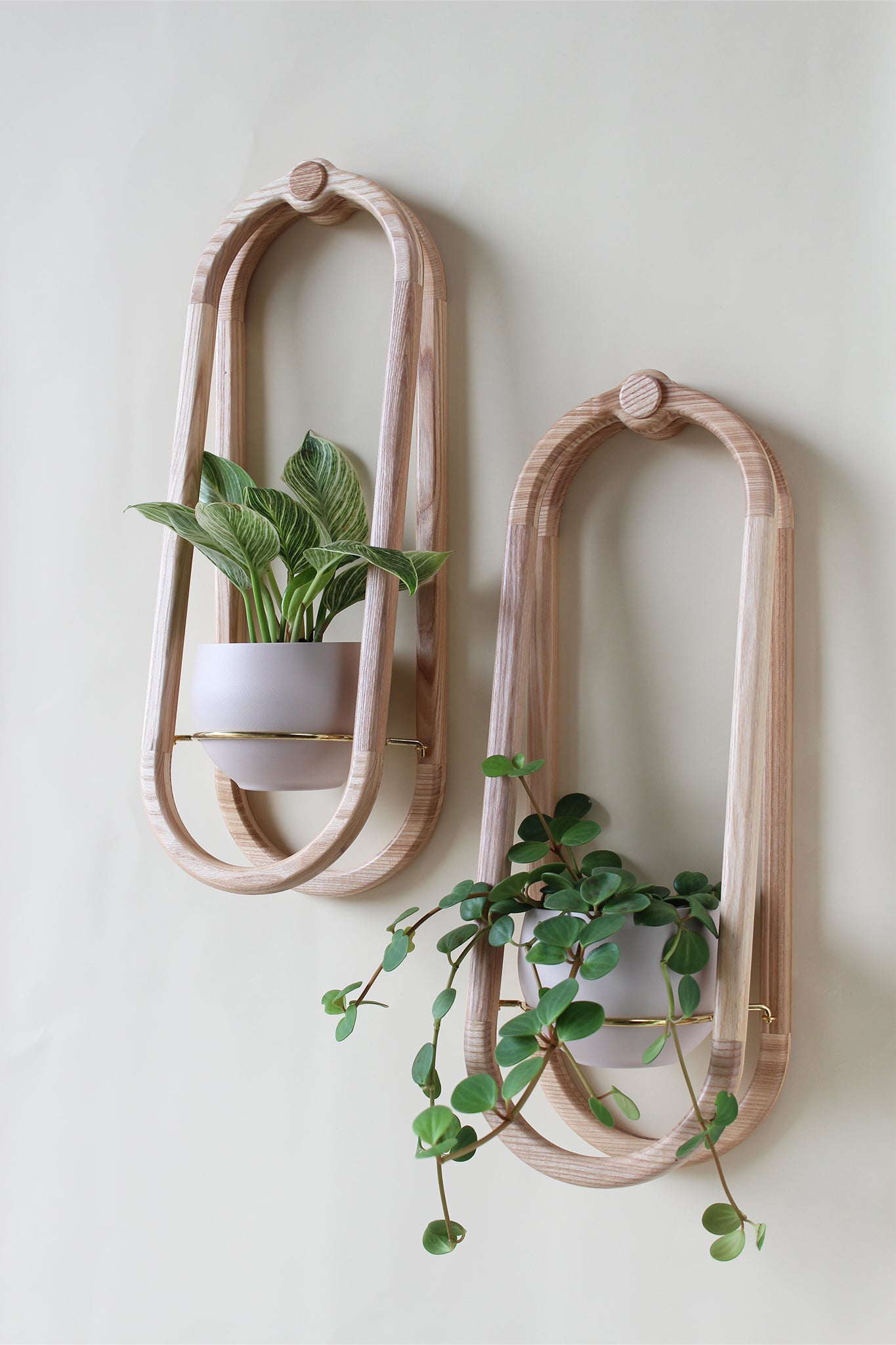 modern obround wall mounted wood planter with blush colored aluminum pots and houseplants