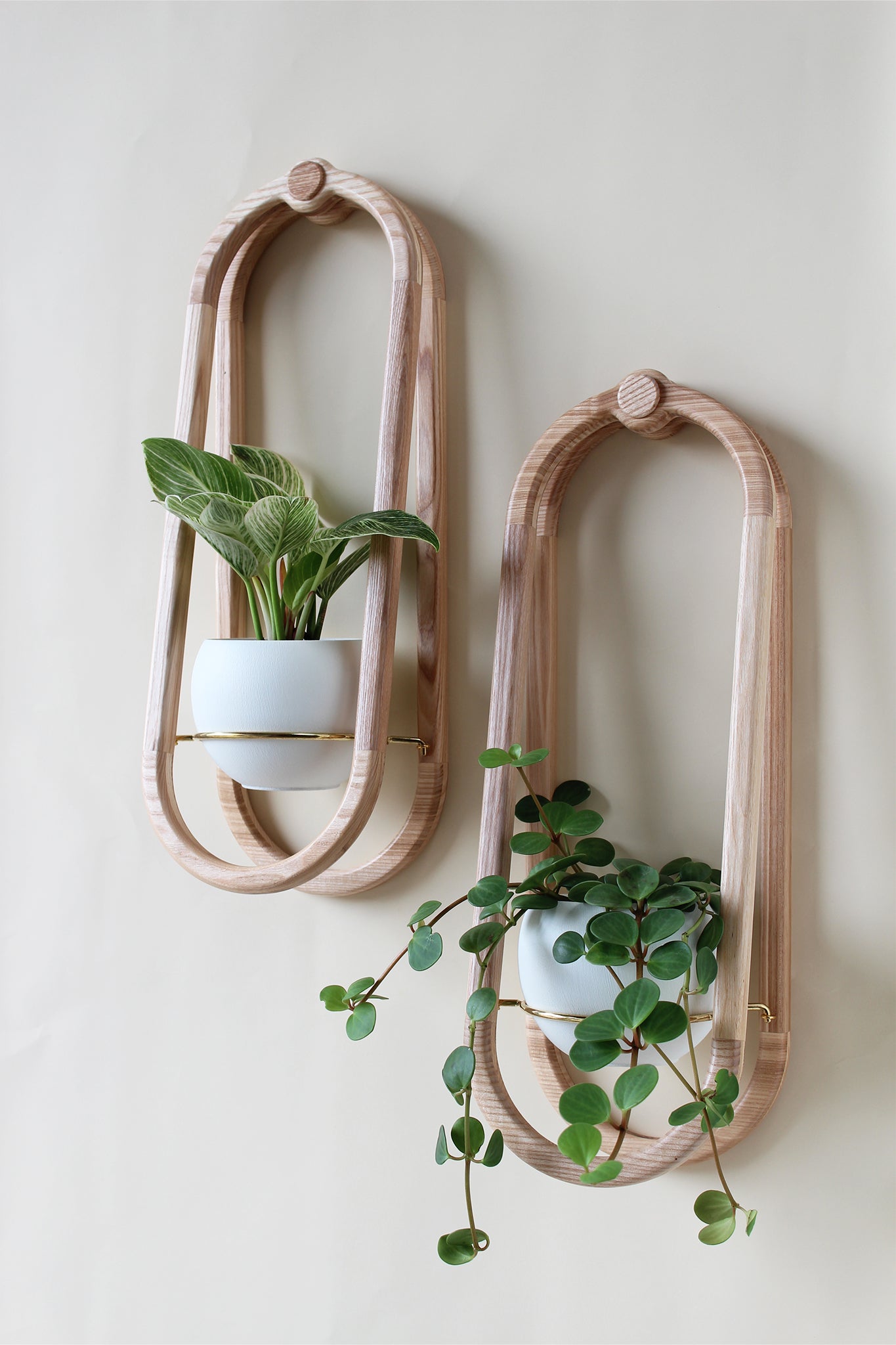 modern obround wall mounted wood planter with white colored aluminum pots and houseplants