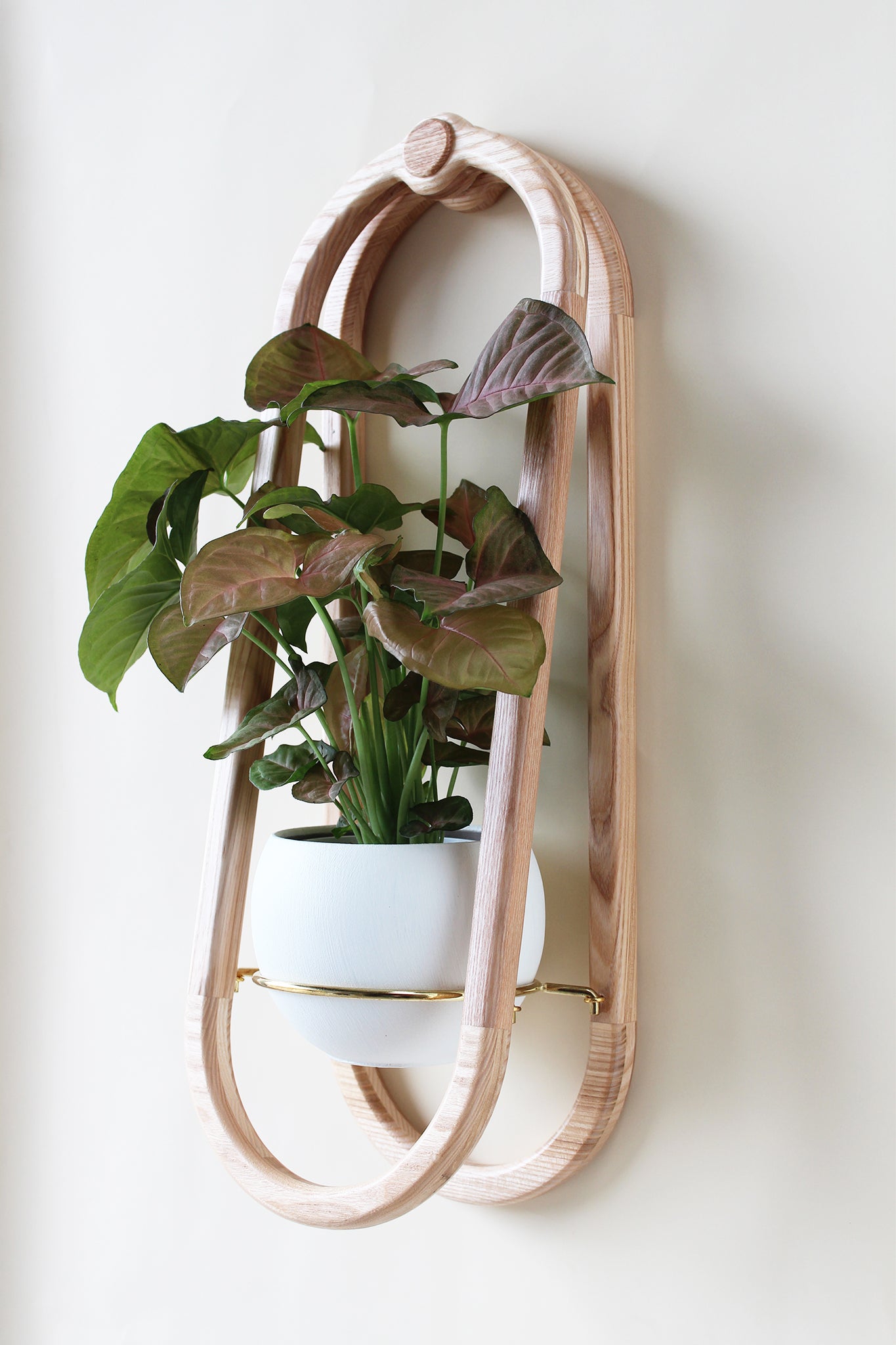 white wall planter indoor Frame Wall Planter + Pot