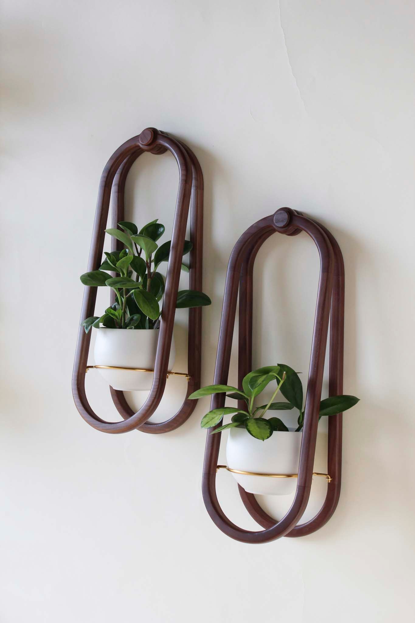Frame Wall Planter + Pot Duo