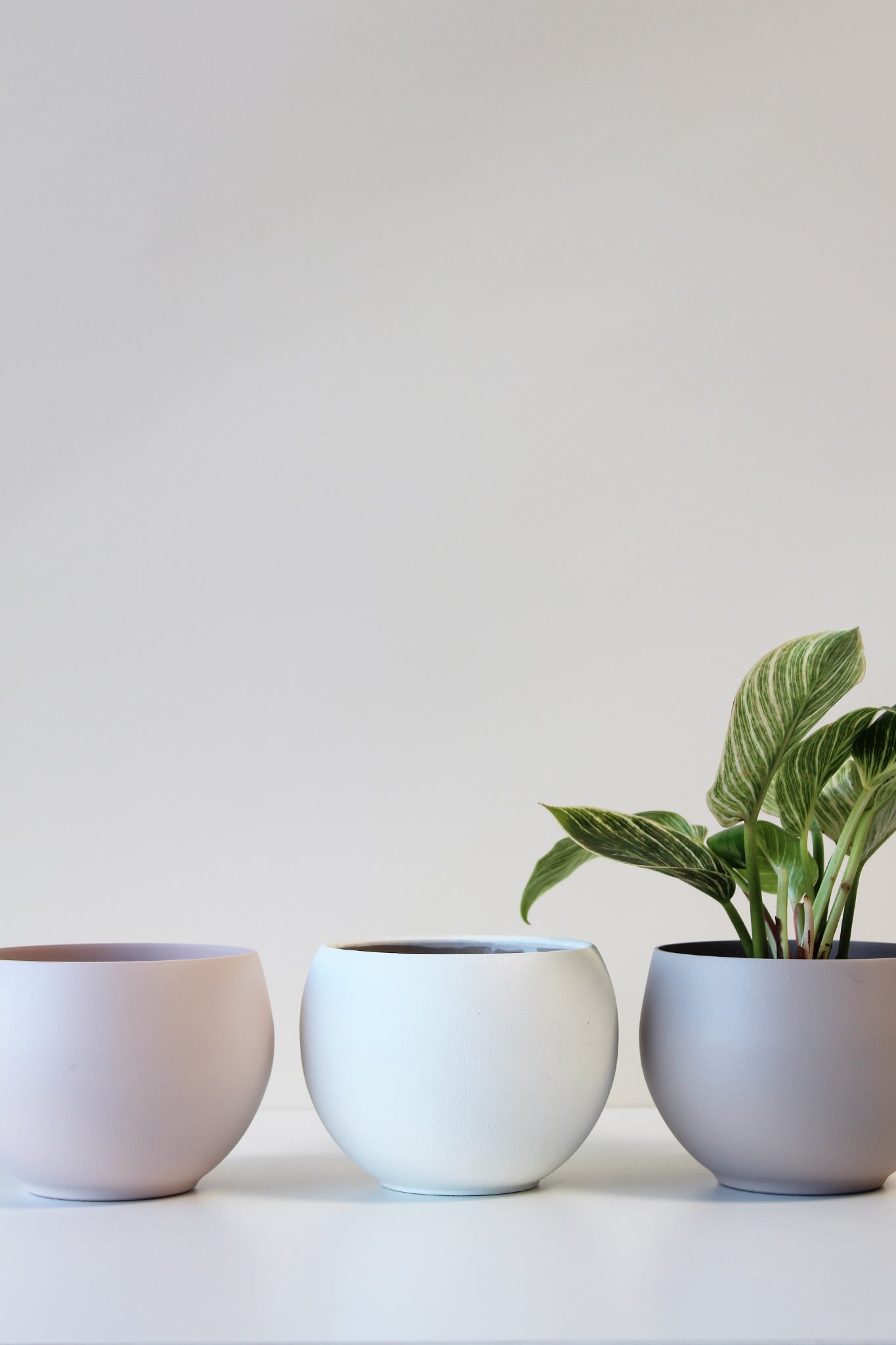 Hanger Pot
