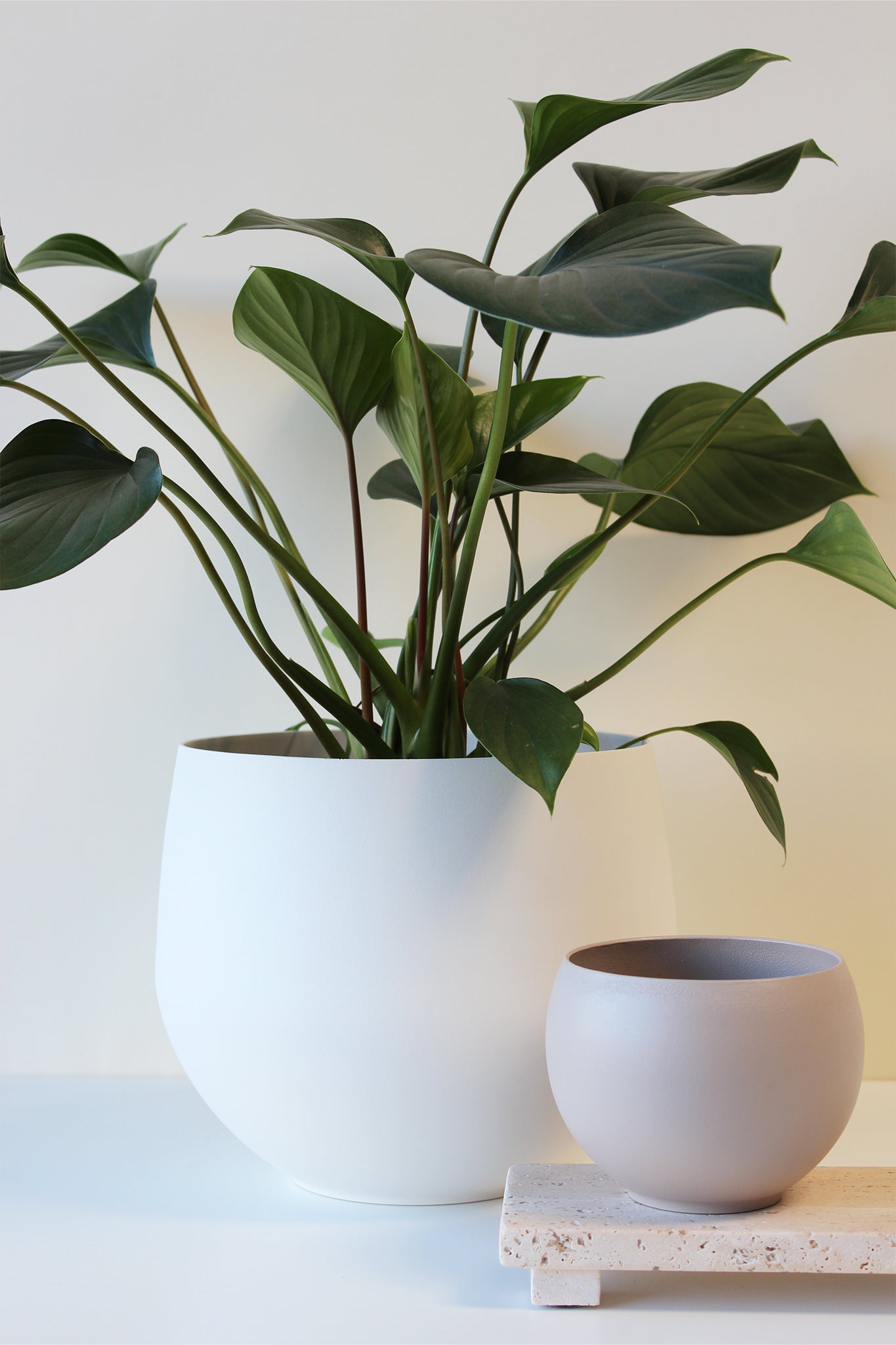 spun aluminum pots for houseplants