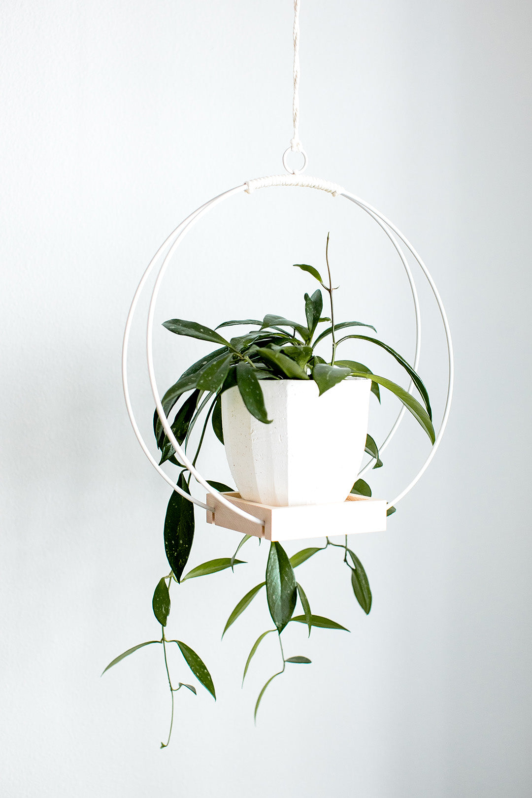 Light Hanging Planter