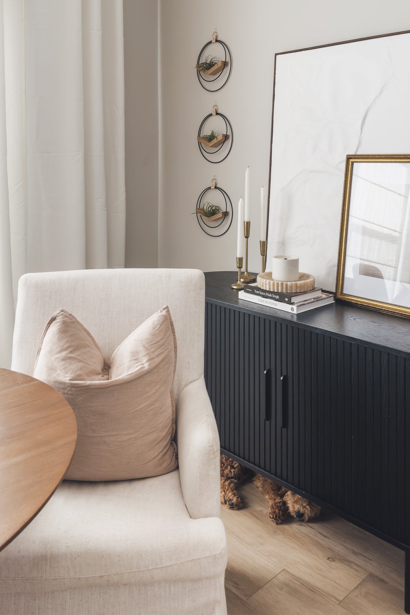 three V shaped modern air plant holders made of ash hardwood and black metal in a dining room