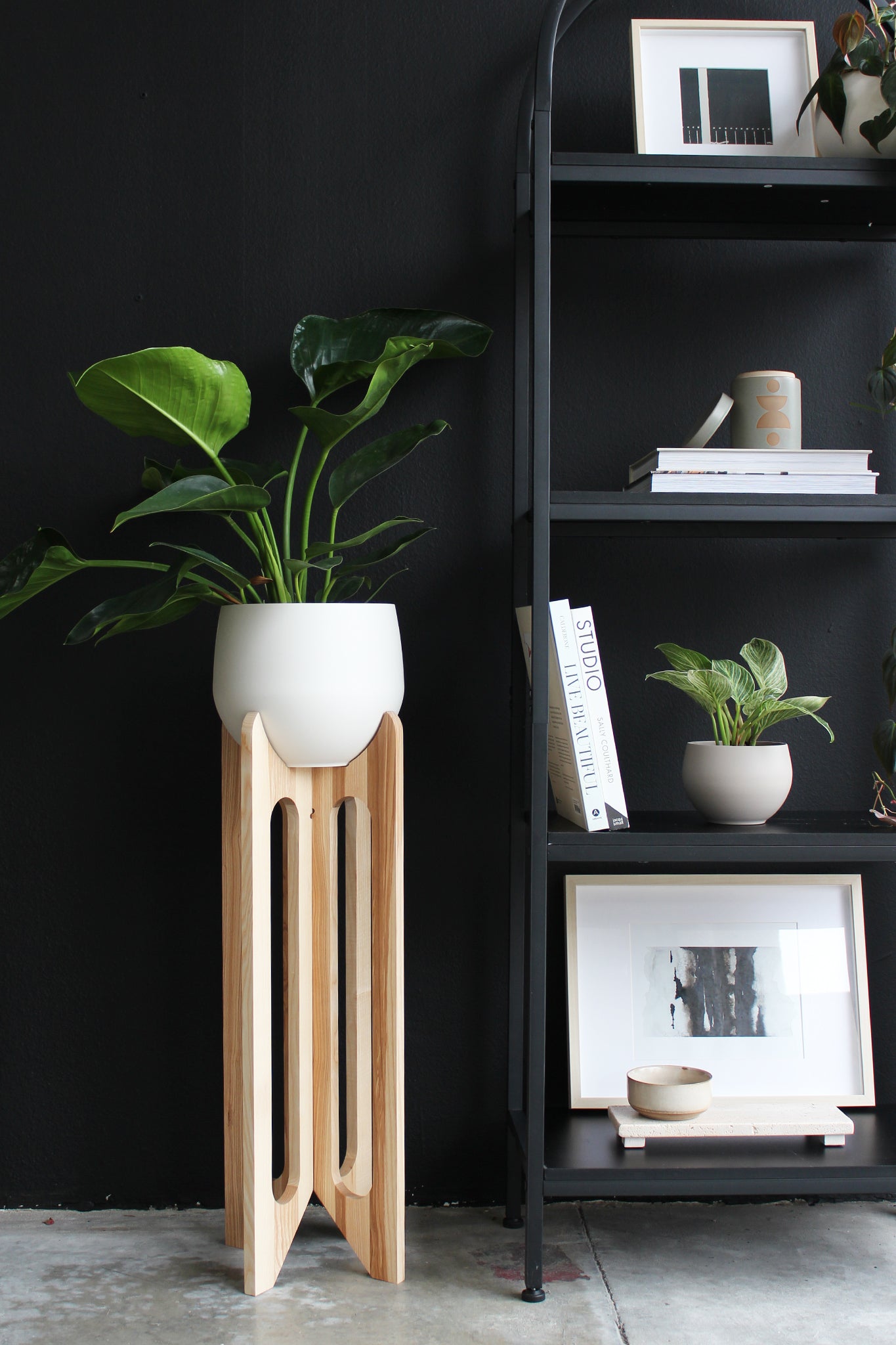 modern tall solid hardwood plant stand with spun aluminum white pot against a black backdrop