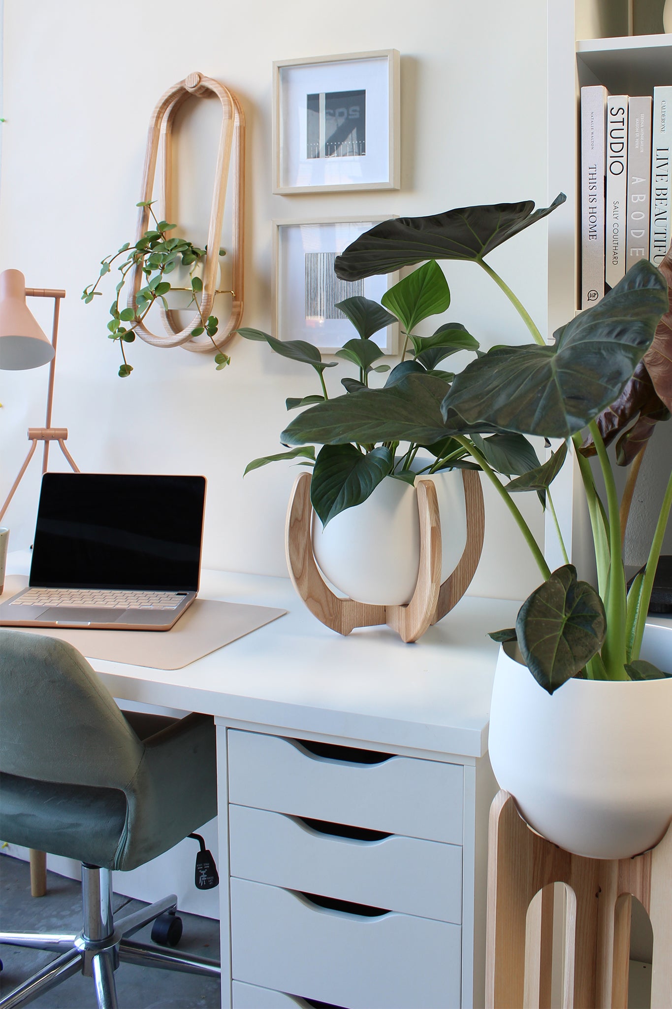neutral home office space decorated with houseplants and braid & wood plant stands