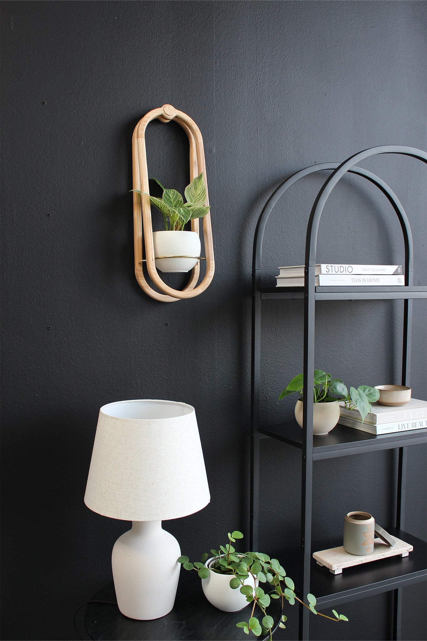 moody living room with black accent wall styled with plants and arched shelving unit