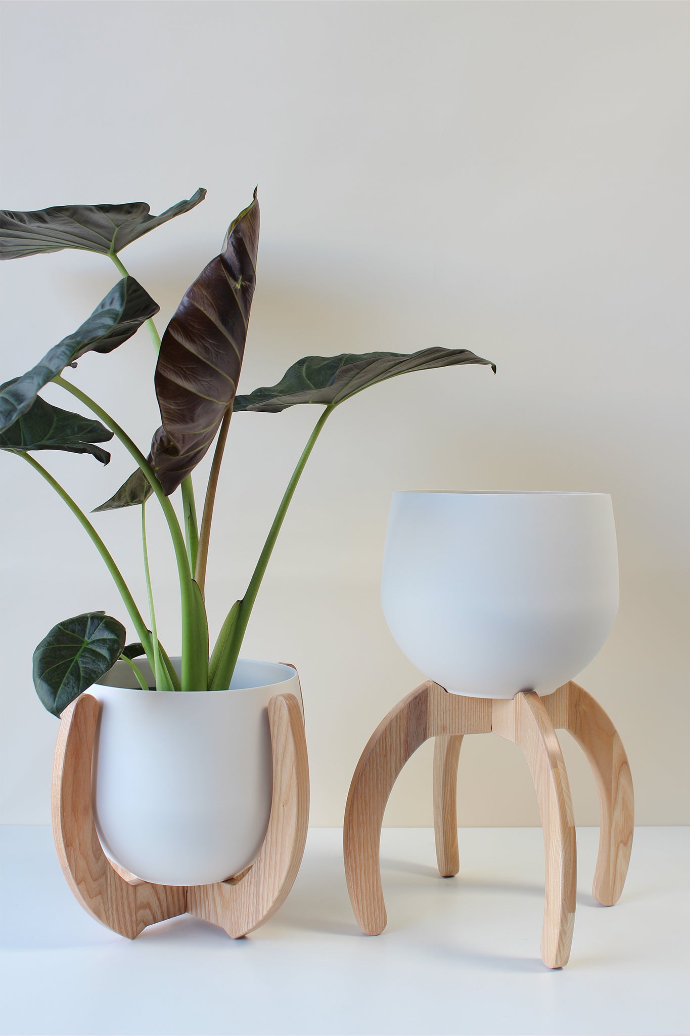 cheap white planter pots Modern Indoor Plant Stand Set of 2 with Pots — Tall Minimalist Wood Plant Pedestal Pair