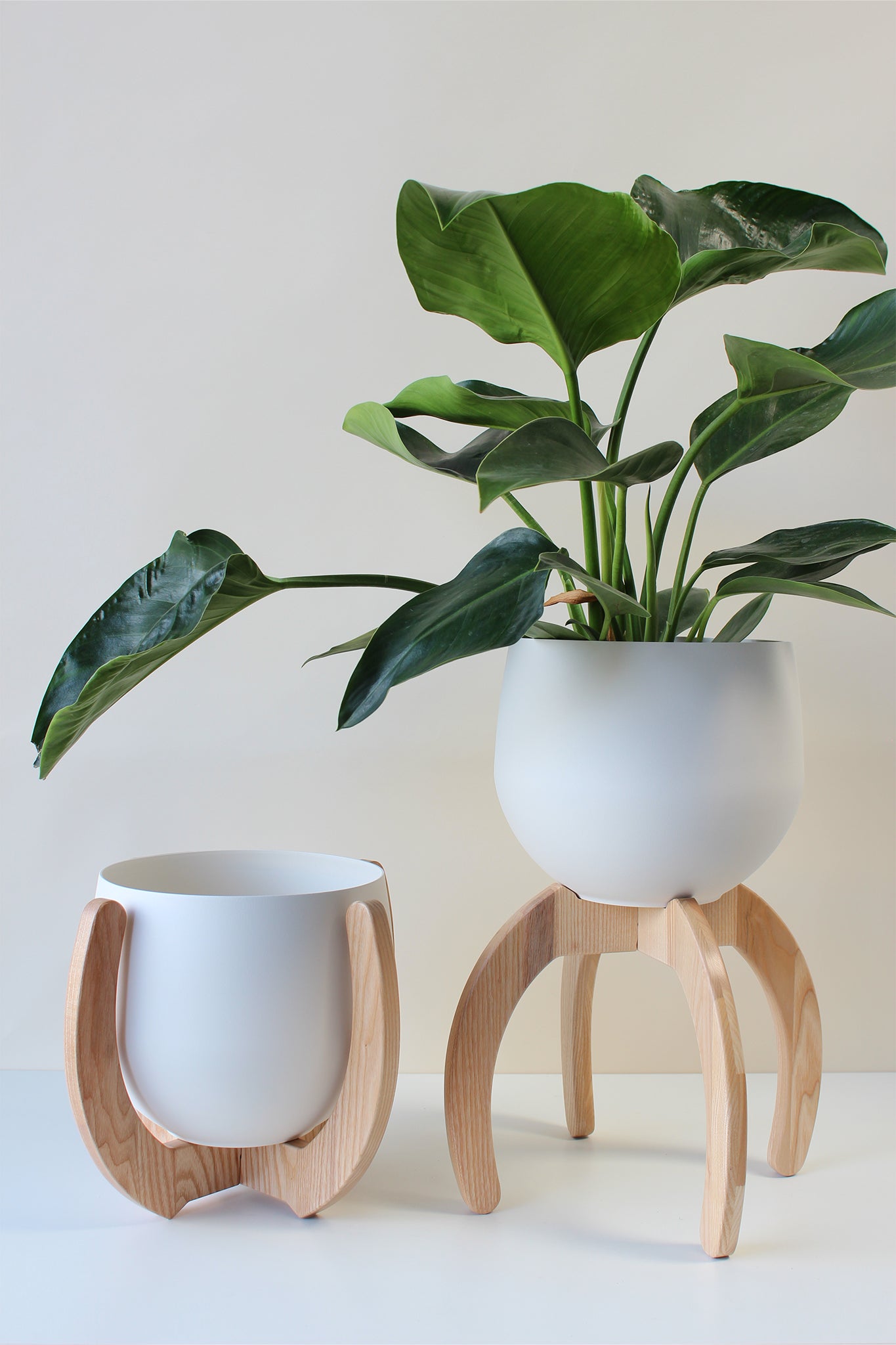 Nested Plant Stand + Pot Duo