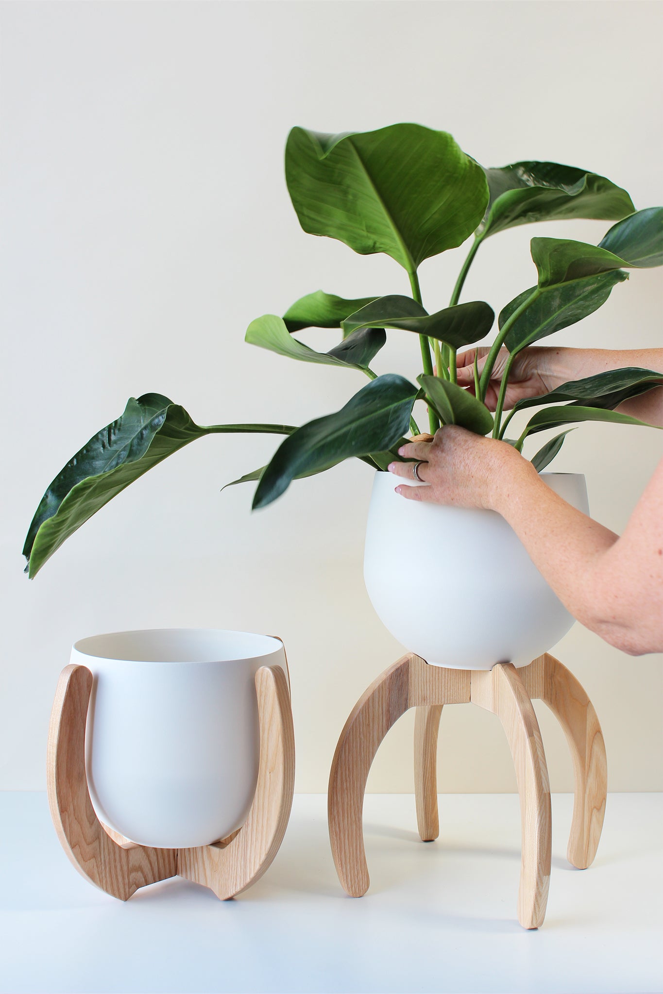 two side by side wood plant stands arranged at varying heights with white aluminum pots