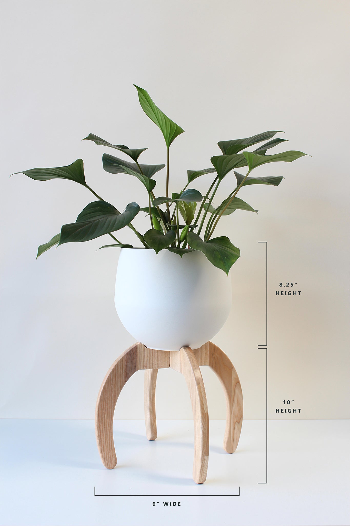 dimensions of the nested plant stand and pot by braid & wood