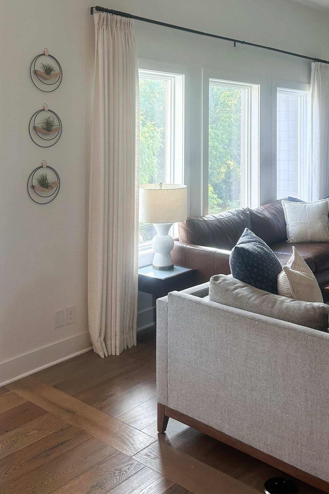 three modern wooden air plant hangers with black rings holding air plants in a living room
