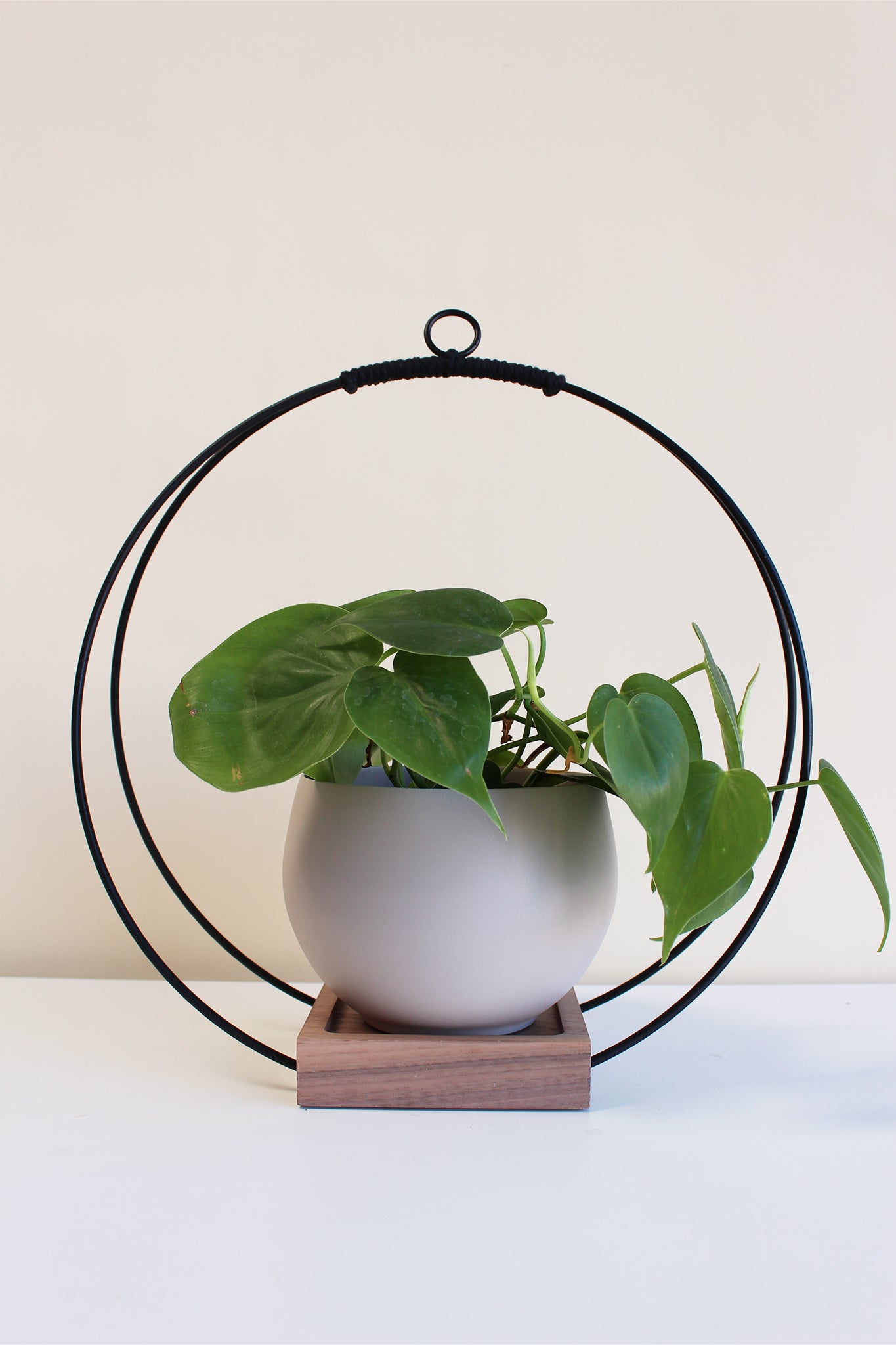 metal circle hanging planter Dark Hanging Planter