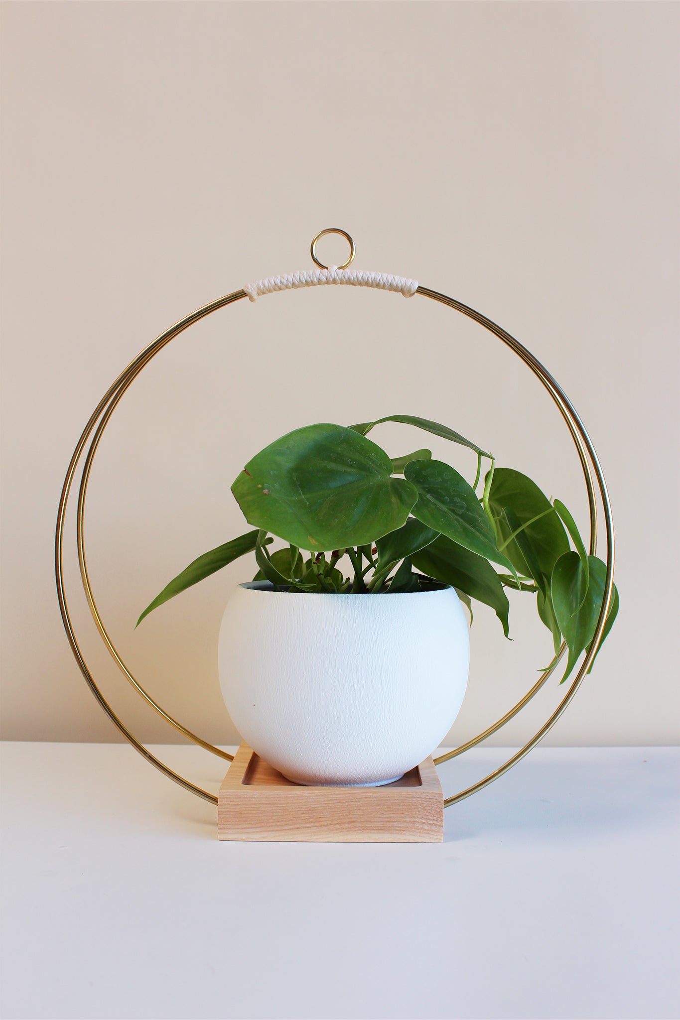 Hanging Planter