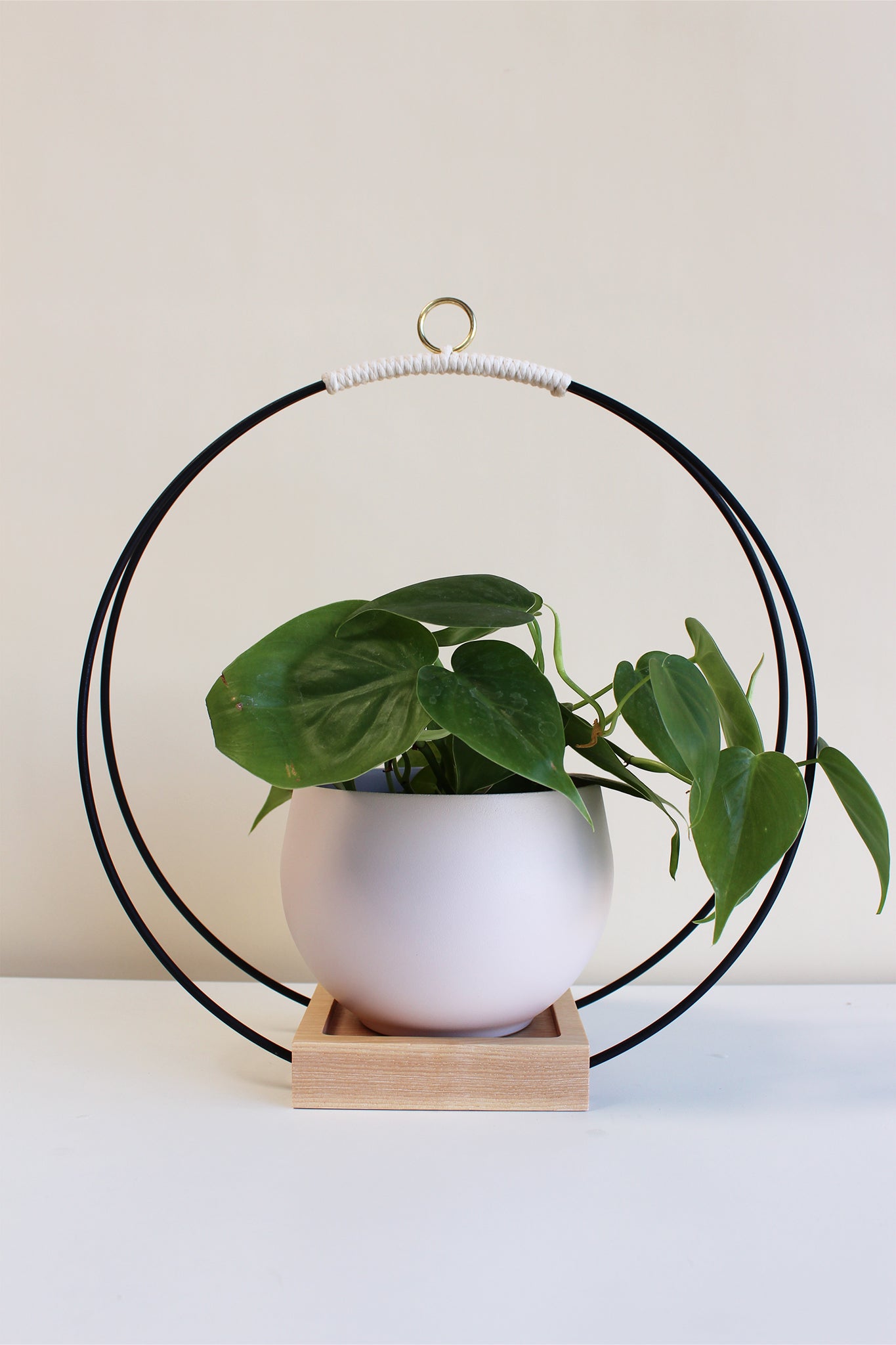 large circular hanging planter with matte black rings and blush pot for houseplants