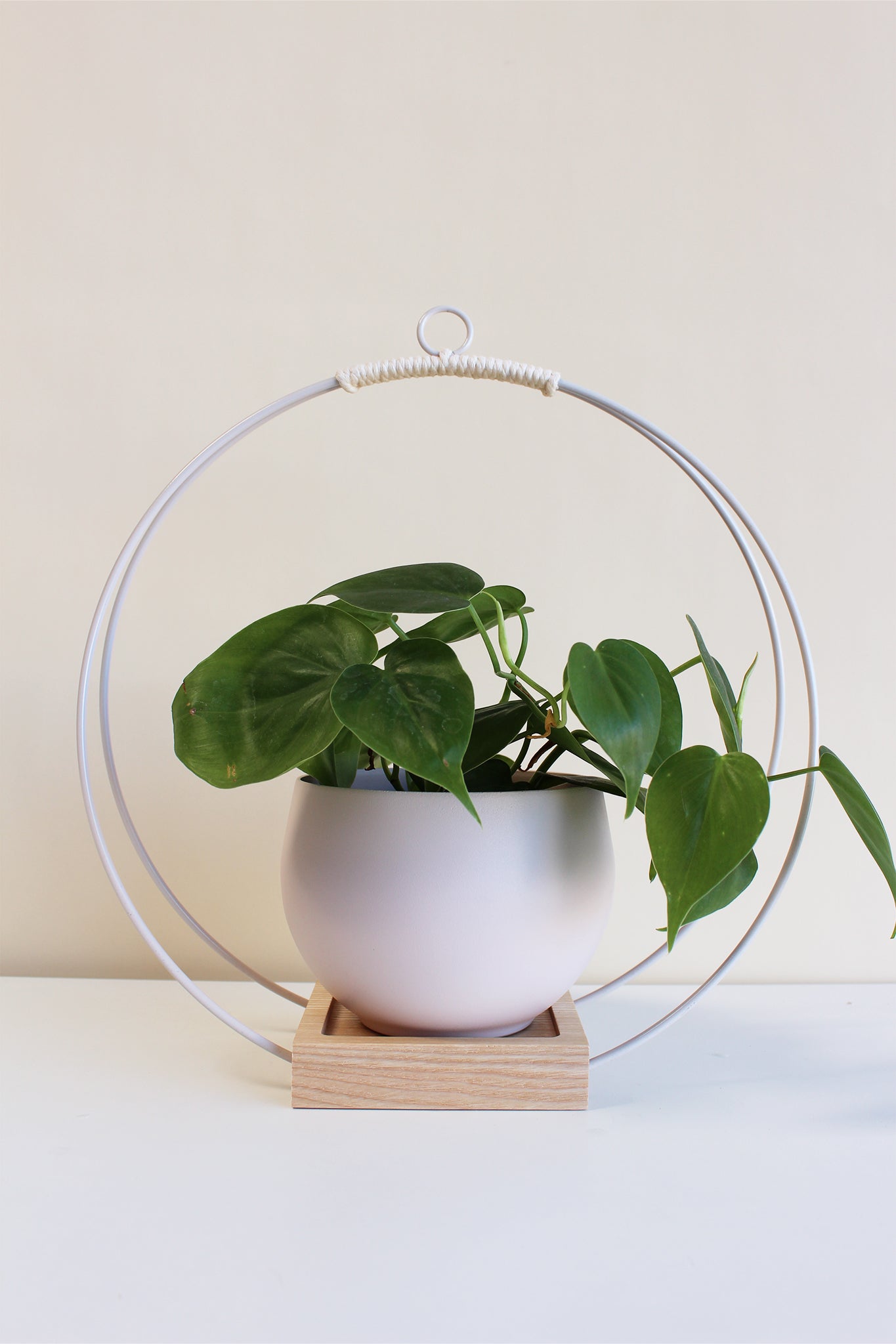 large white circular plant hanger with blush colored aluminum pot for houseplants