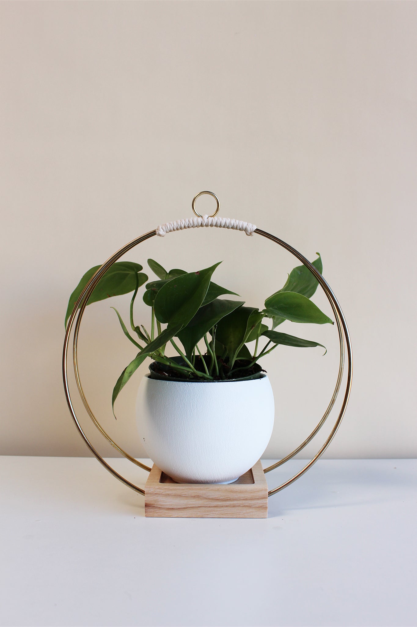 medium gold circular hanging planter with light wood base and blush colored aluminum pot