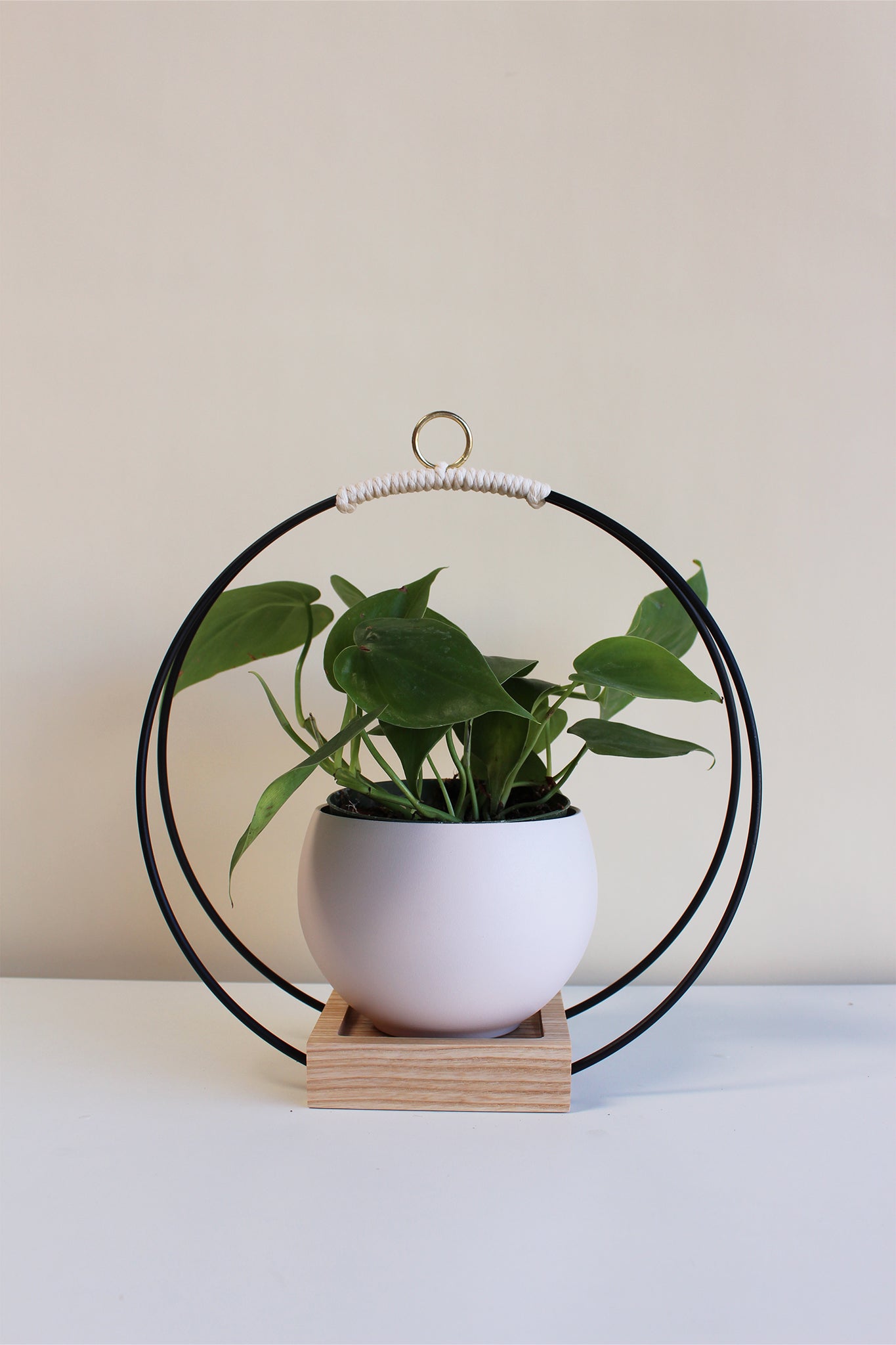 medium circular hanging planter with matte black rings and blush aluminum pot