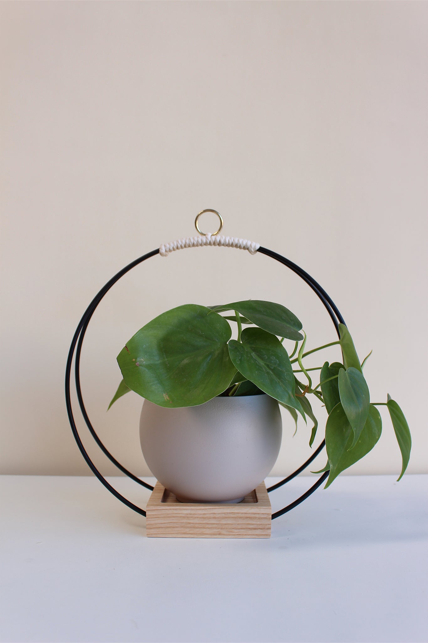 medium circular hanging planter with matte black rings and tan aluminum pot