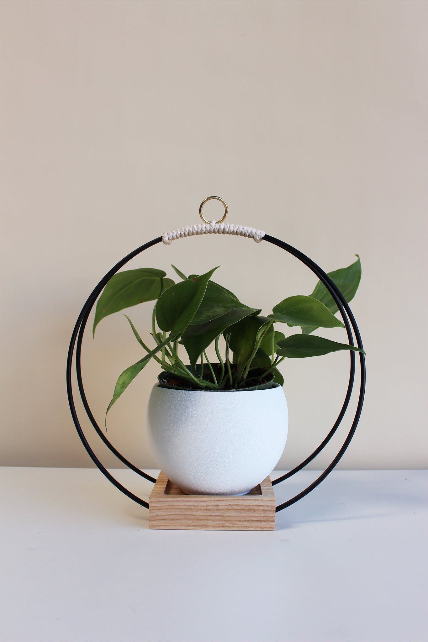 medium circular hanging planter with matte black rings and white aluminum pot