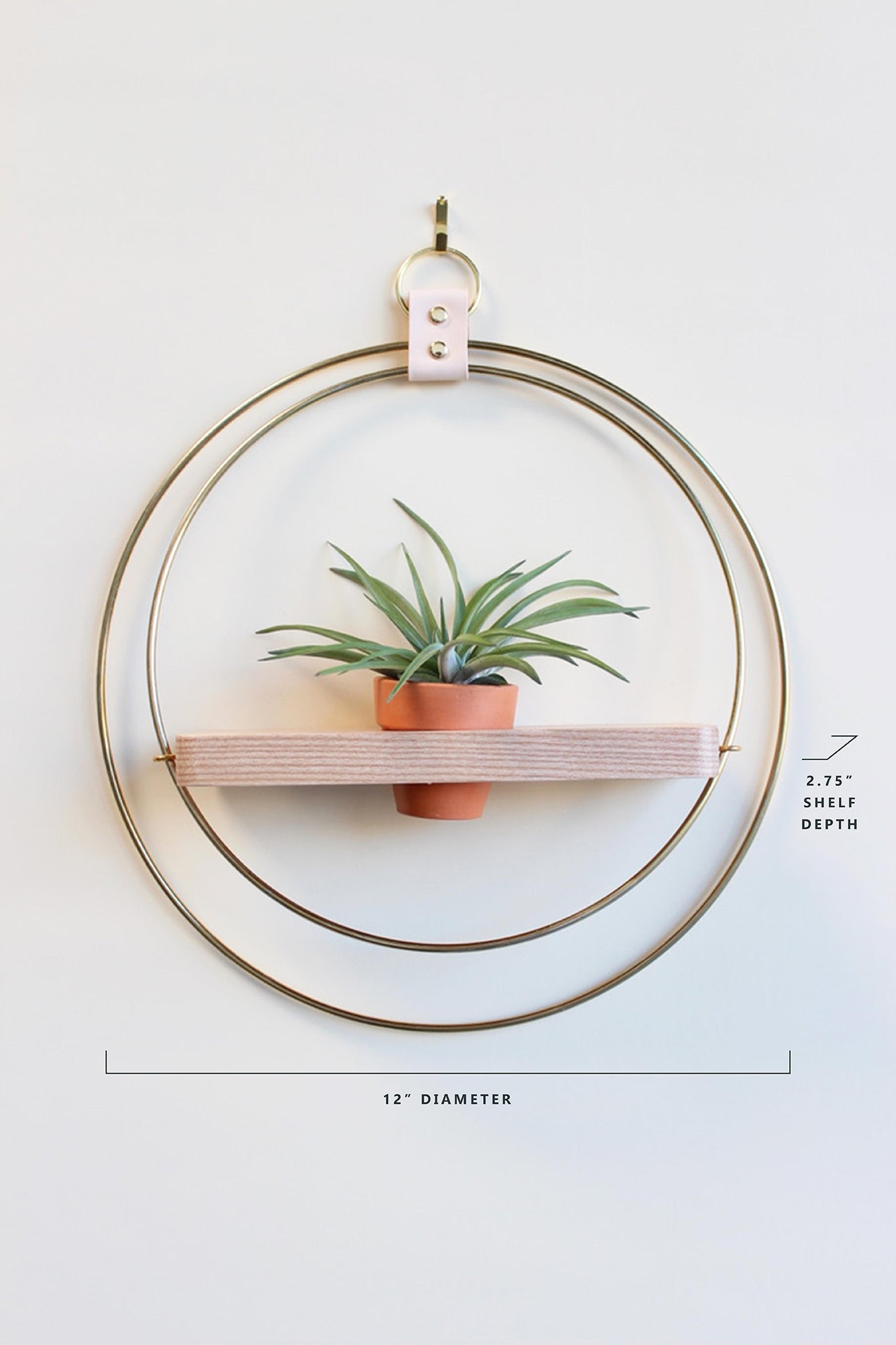 modern wall decor for air plants gold circular wall mounted plant shelf light wood and mini terracotta pot with product dimensions.