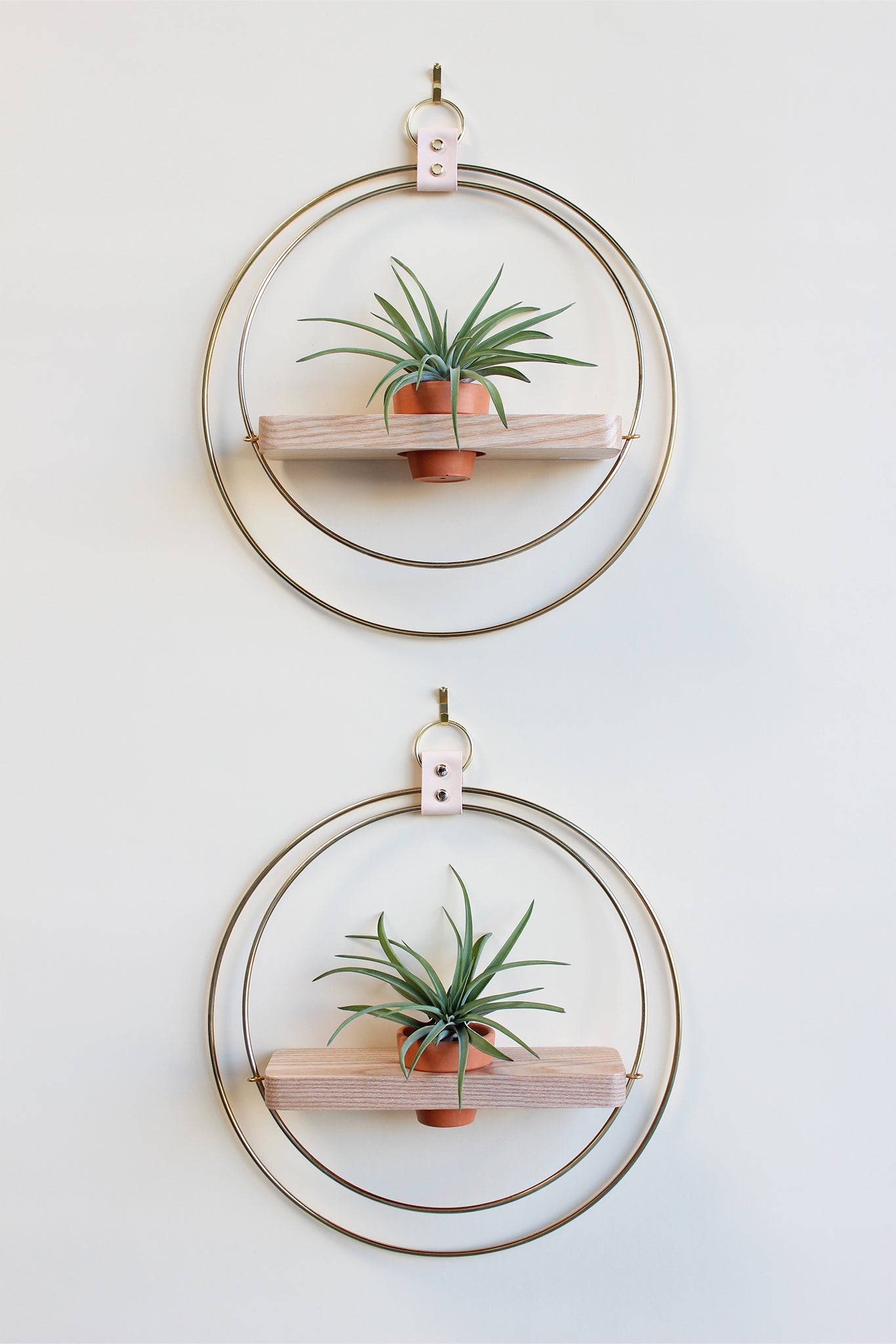 modern wall mounted gold circular plant shelf for air plants