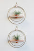 modern wall mounted gold circular plant shelf for air plants